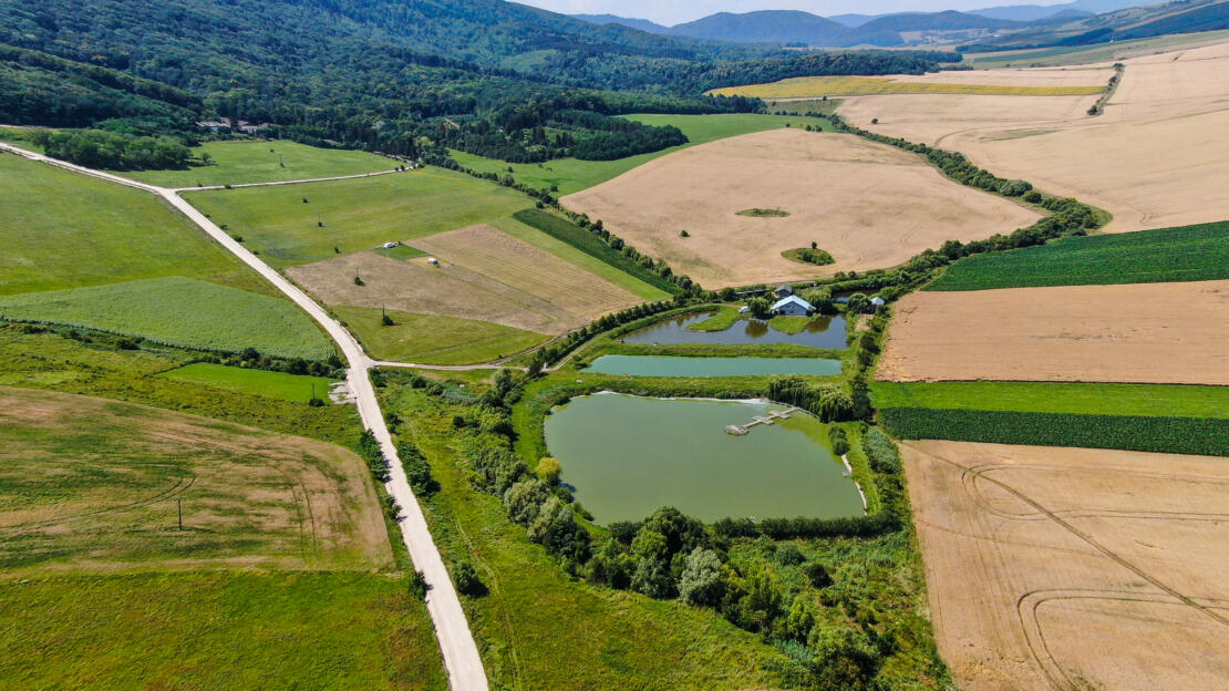 Investment Estate with Ponds, Land and Two Houses – Negresti, Neamt, Romania