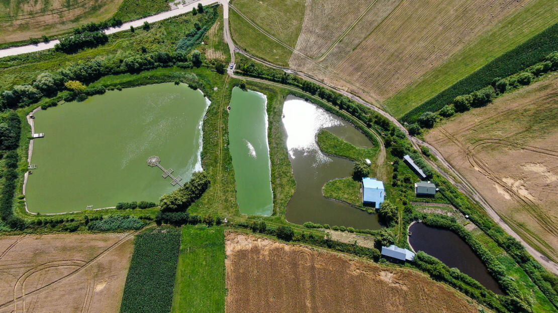 Investment Estate with Ponds, Land and Two Houses – Negresti, Neamt, Romania