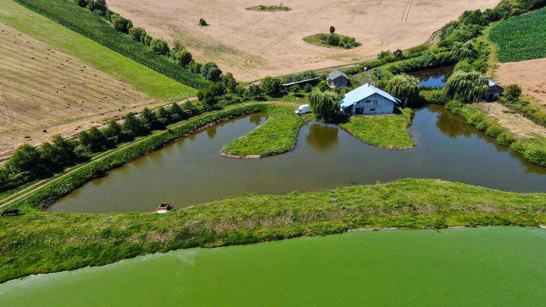 Investment Estate with Ponds, Land and Two Houses – Negresti, Neamt, Romania