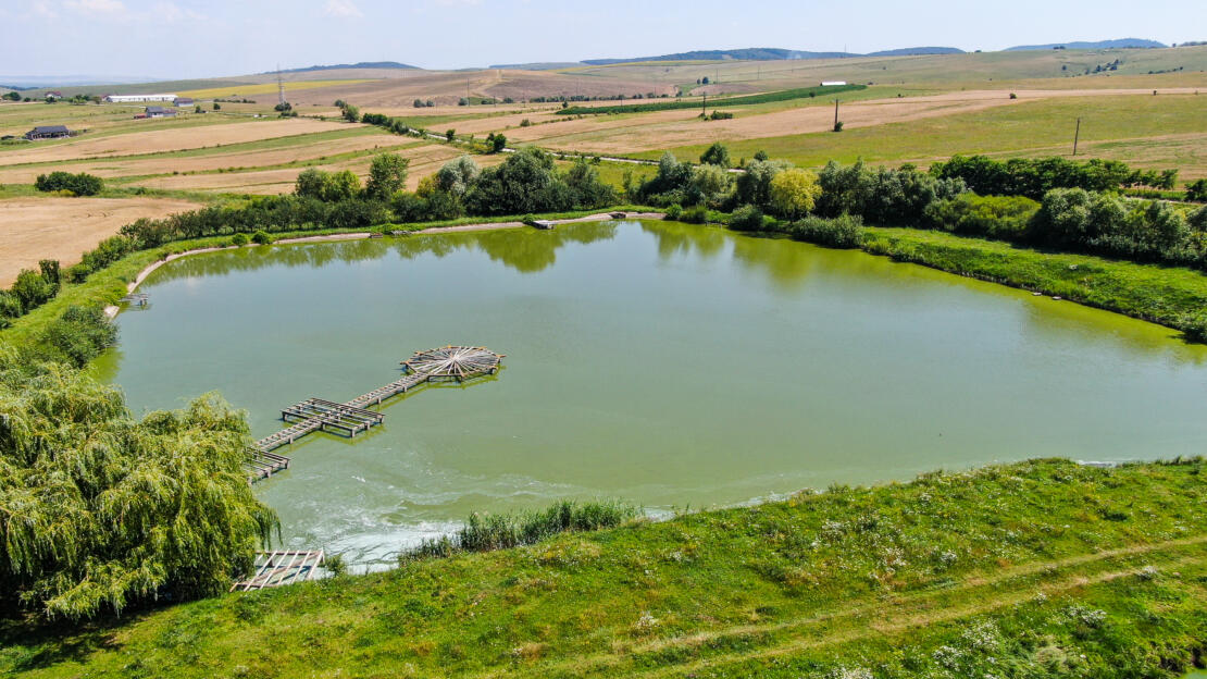 Investment Estate with Ponds, Land and Two Houses – Negresti, Neamt, Romania