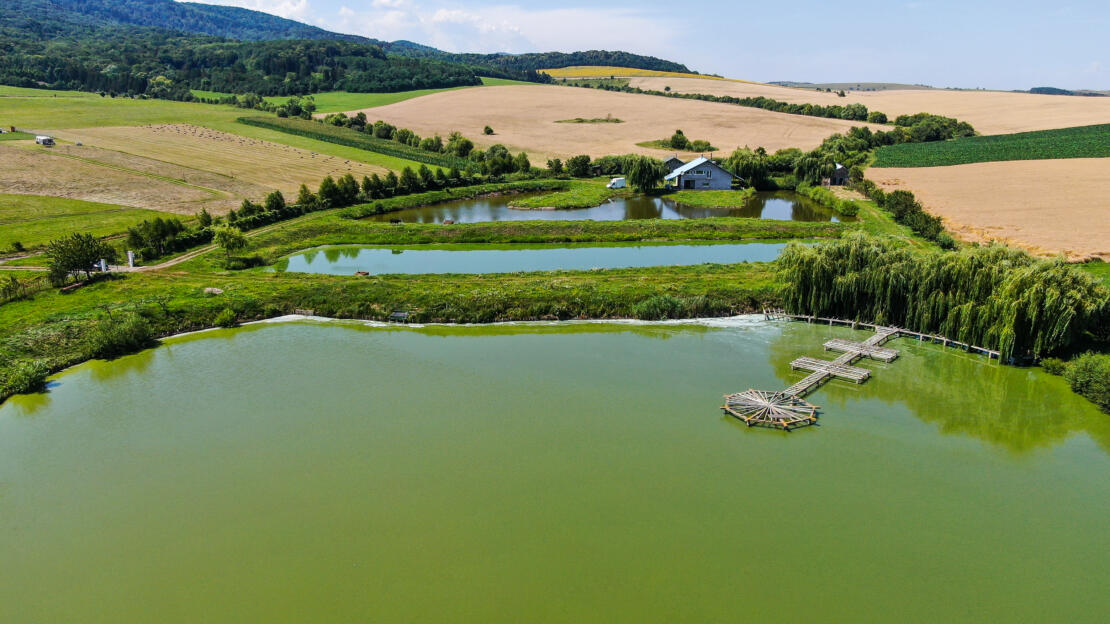 Investment Estate with Ponds, Land and Two Houses – Negresti, Neamt, Romania