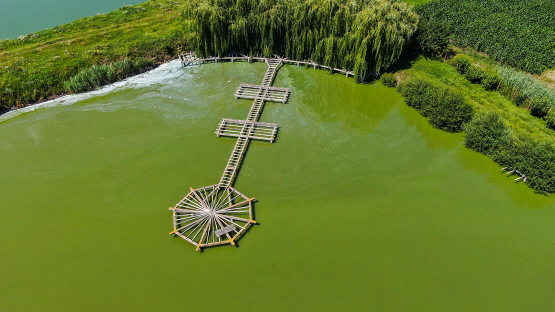Investment Estate with Ponds, Land and Two Houses – Negresti, Neamt, Romania