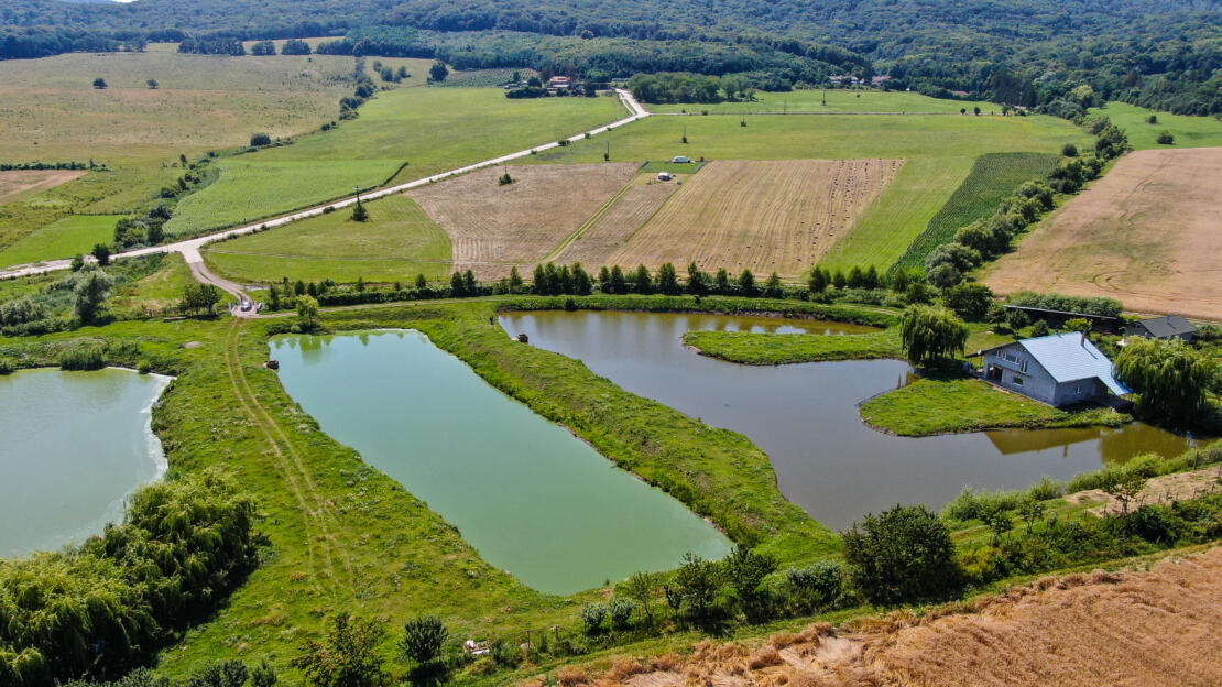 Investment Estate with Ponds, Land and Two Houses – Negresti, Neamt, Romania
