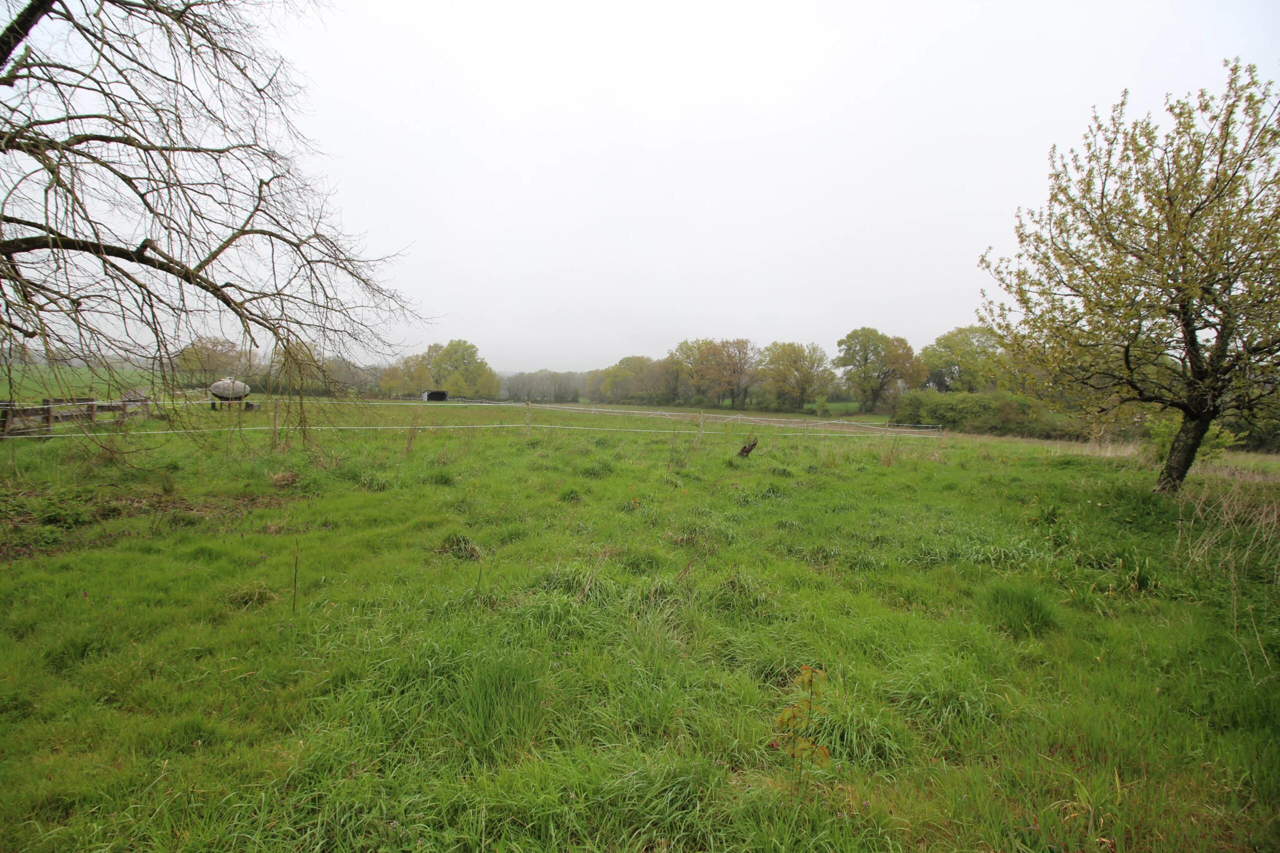 Three bedroom detached property with 2 hectares, Poitou-Charentes – France – BVI85081