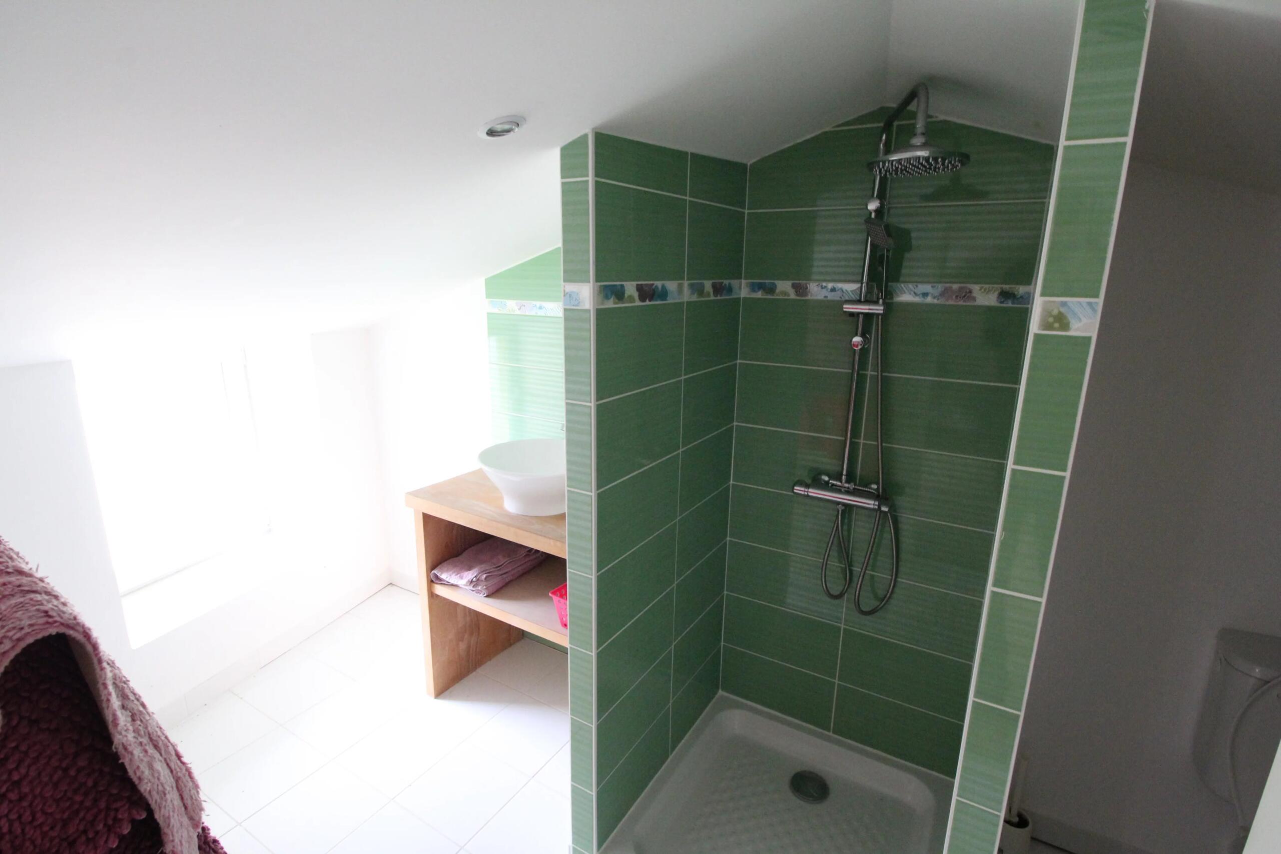 Three bedroom detached property with 2 hectares, Poitou-Charentes – France – BVI85081