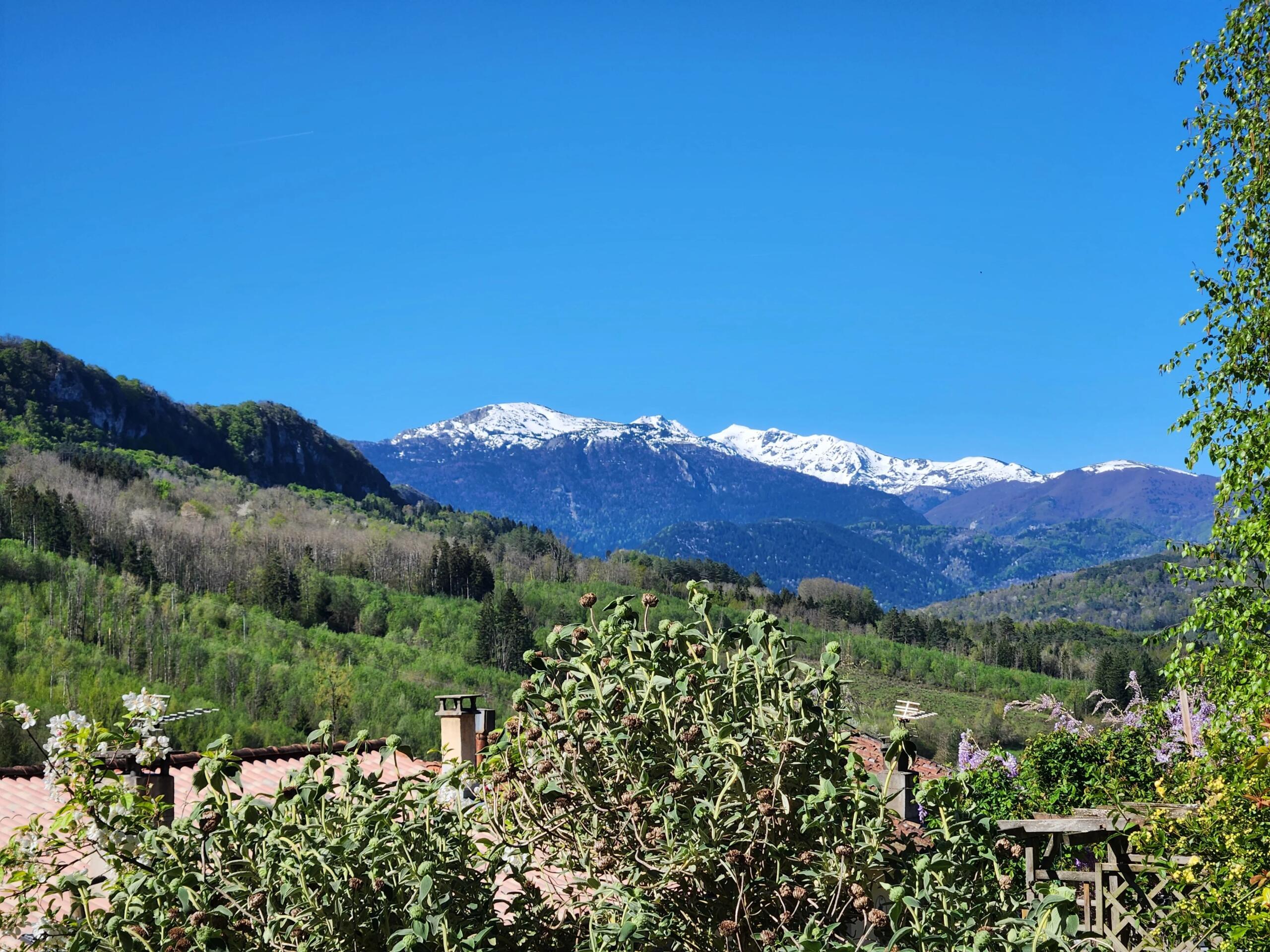 Rustic Living with Modern Luxury, Languedoc-Roussillon – France – BVI85353