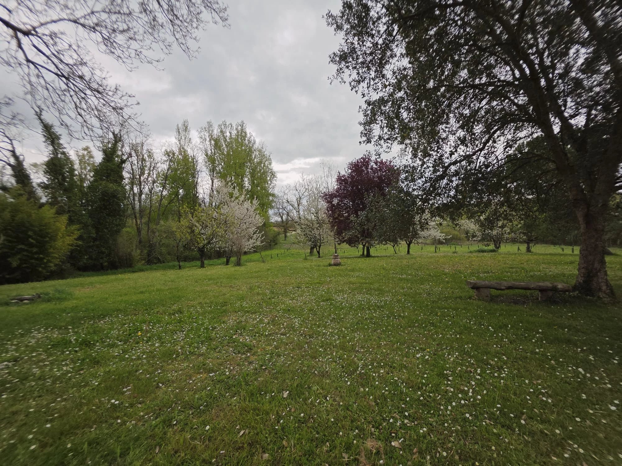 Character Home with Barns, Orchard and Land, Aquitaine – France – BVI84995