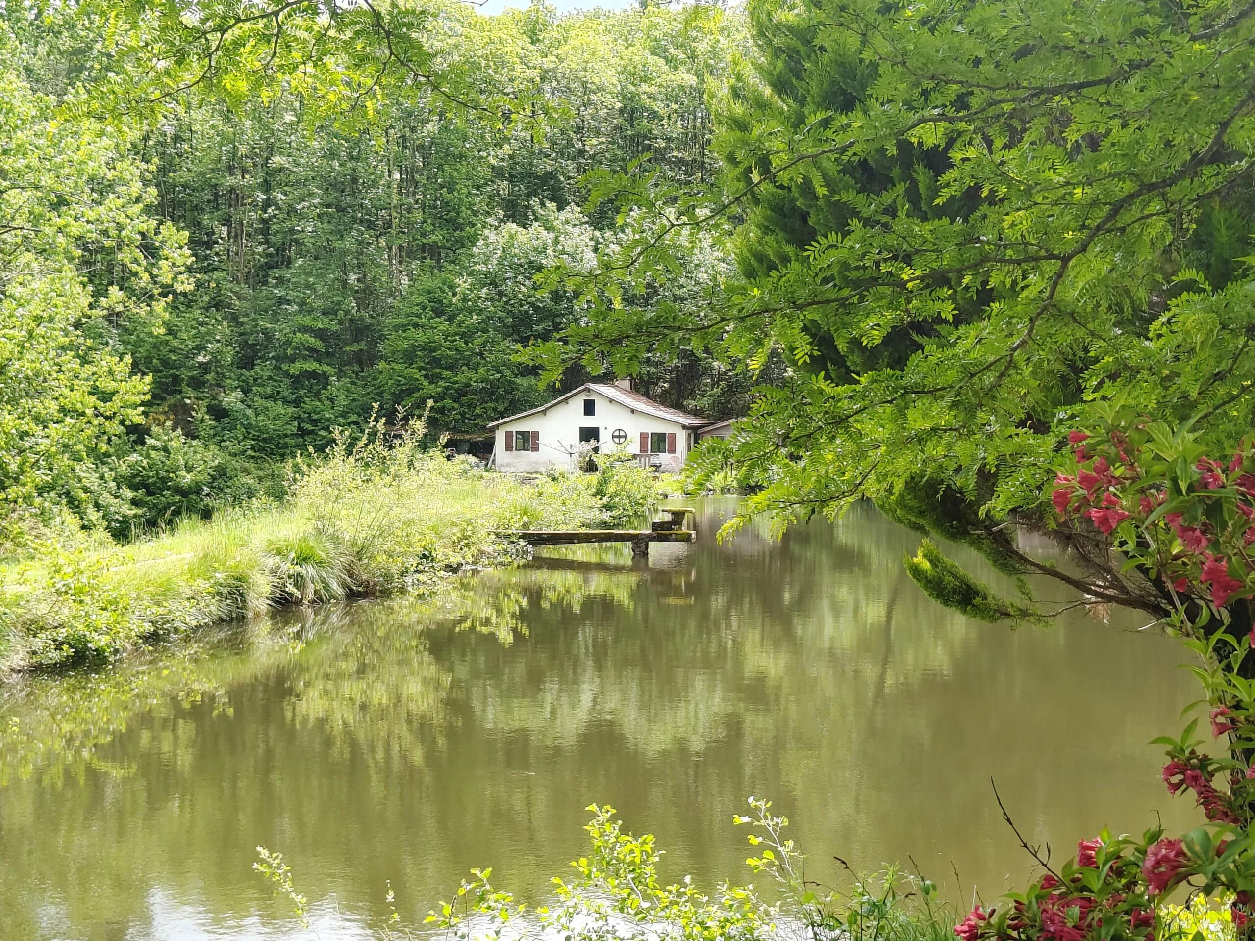 Small cottage with 2 lakes, Aquitaine – France – BVI71100