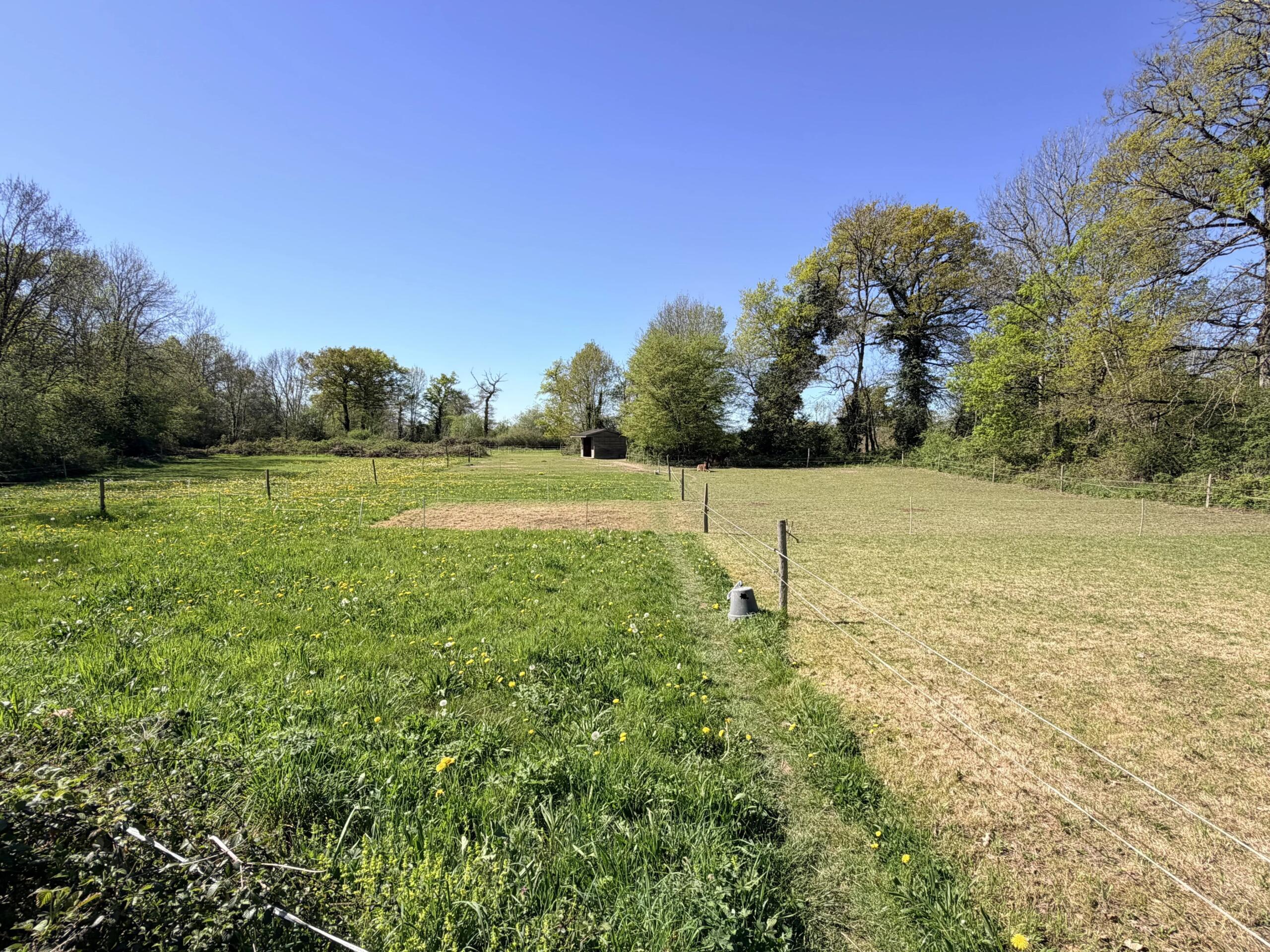 Countryside house with attached guest house, land and paddocks, Limousin – France – BVI84990