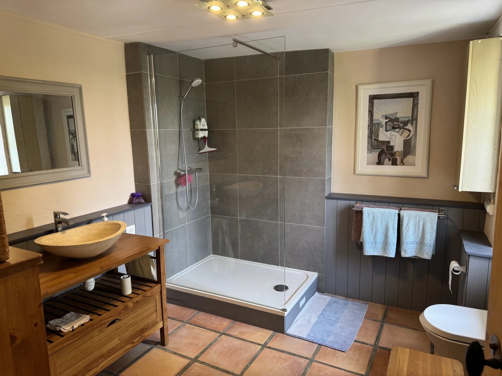 Charming village house, Aquitaine – France – BVI81371