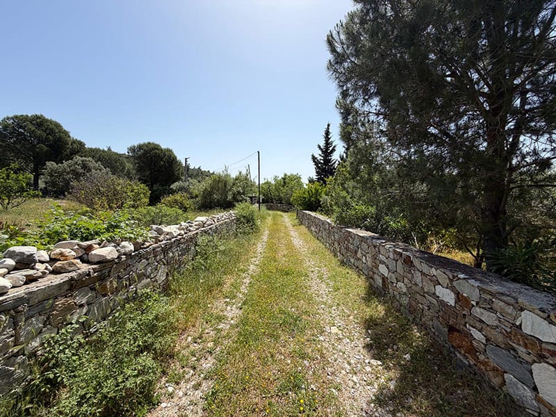 In a rural setting on a large plot, a traditional style Villa near Kusadasi – TC1994