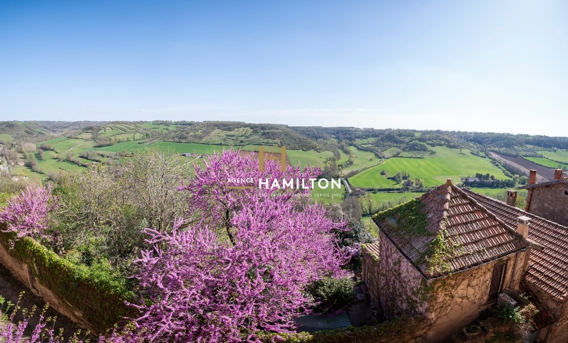 6 bedroom immeuble in Cordes Sur Ciel, Tarn, France