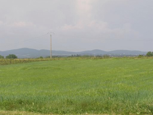 Other in Autignac, Herault, France – a18000e