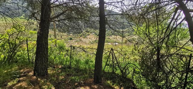 Villa and land in Sicily – Villa Farulla Santo Stefano