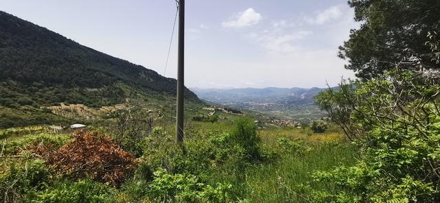 Villa and land in Sicily – Villa Farulla Santo Stefano