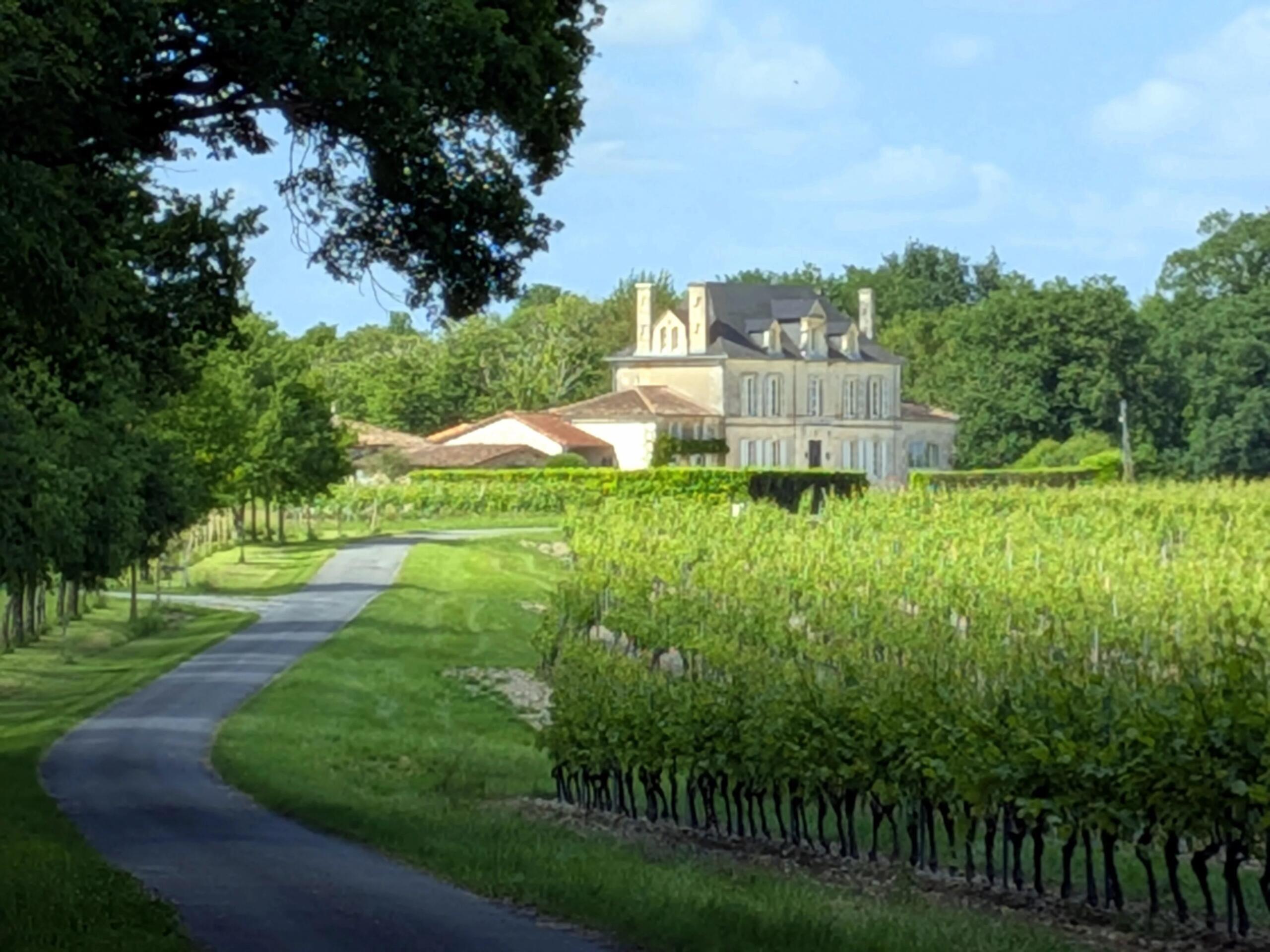 Magnificent 10 bed manor house with pool and 2 guest houses, Poitou-Charentes – France – BVI85855