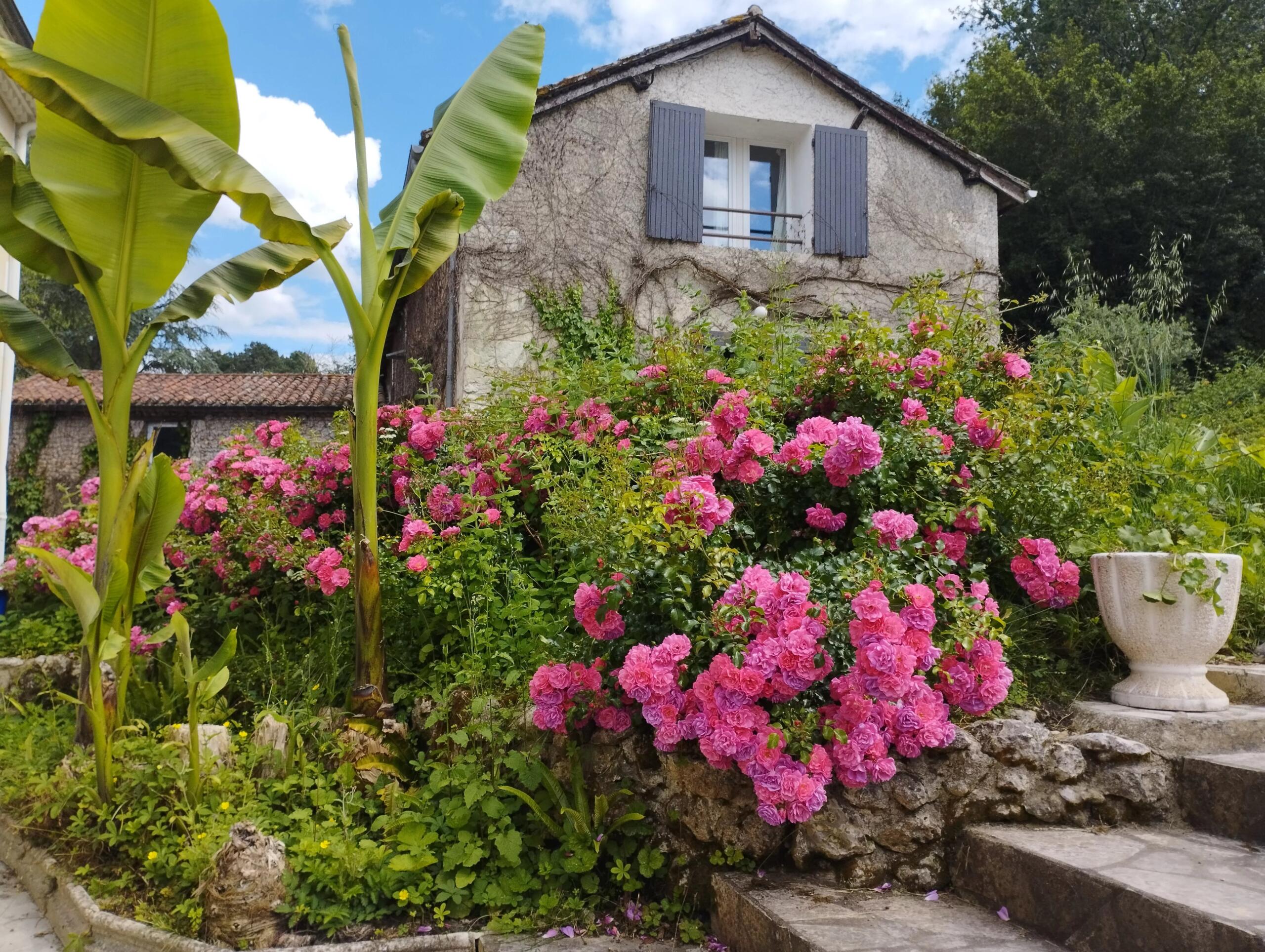 Charming Estate with Guest House, Pool and Outbuildings approx. 1 hour from Bordeaux,, Aquitaine – France – BVI85819