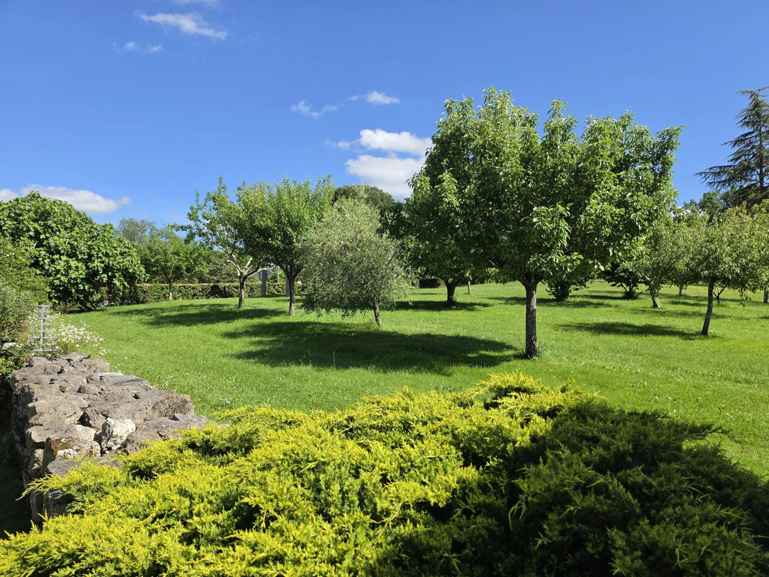 Renovated Stone Property with Pool, Outbuildings, Woodland and Pond – Between Agen and Nérac,  SW France, Aquitaine – France – BVI74518