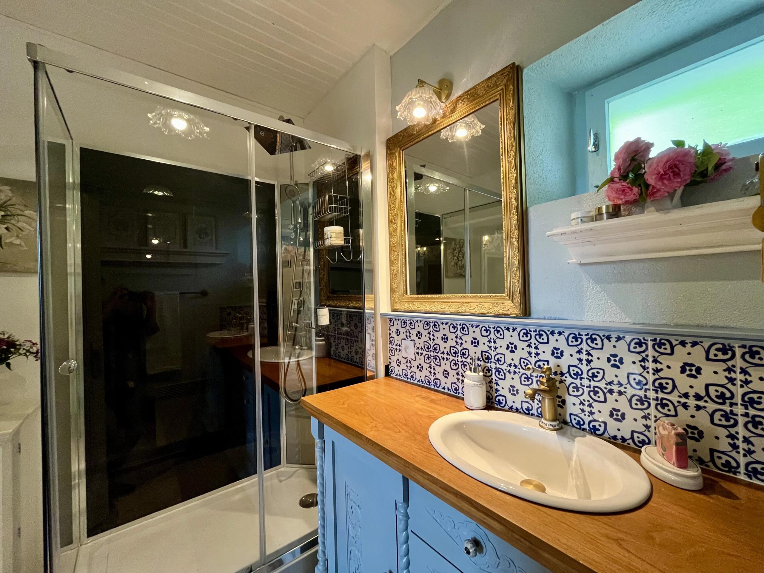 Beautiful ensemble of accommodation in spectacular setting, Poitou-Charentes – France – BVI85383