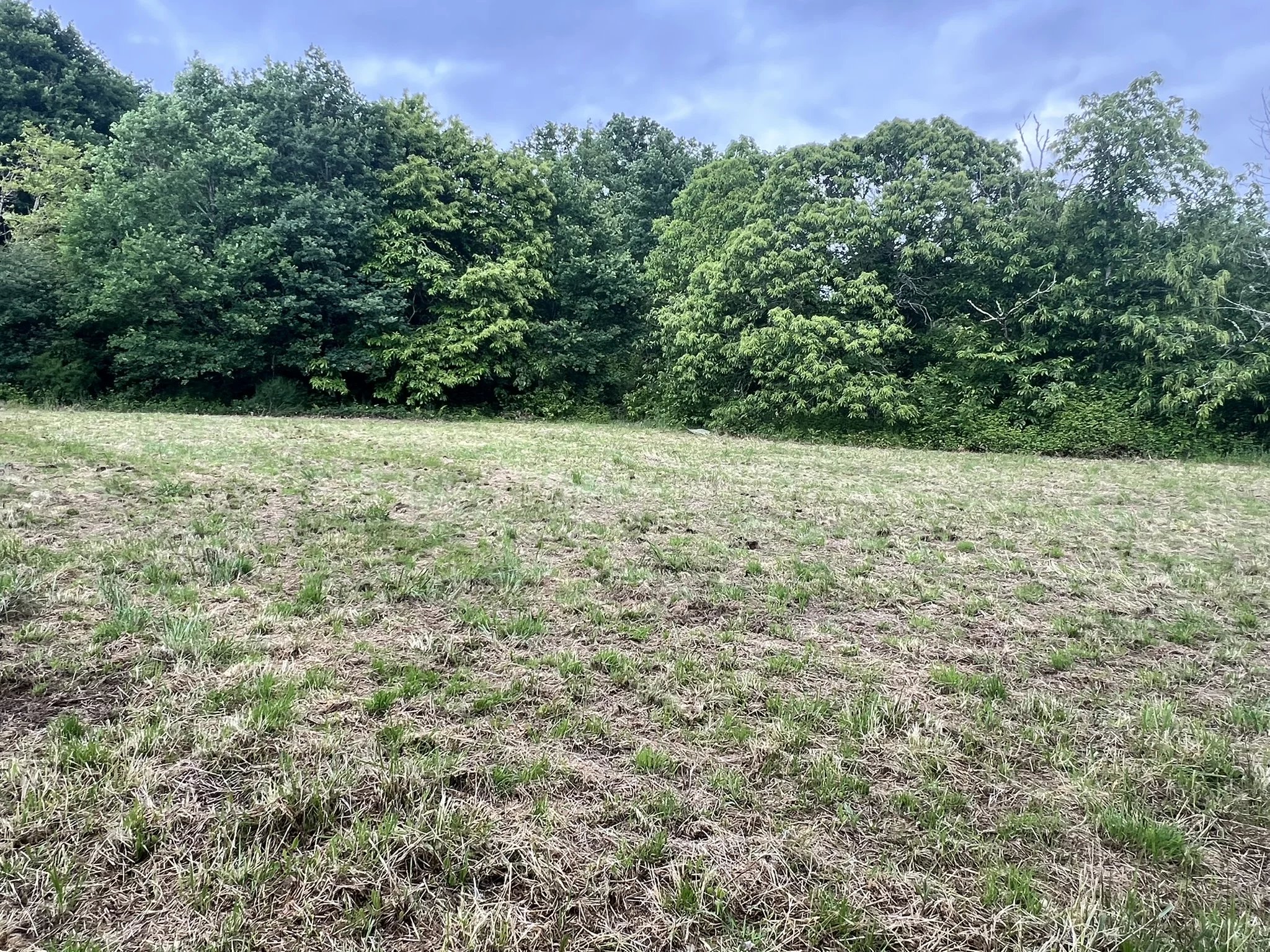 Build Your Dream Home with Stunning Country Views, Aquitaine – France – BVI85075