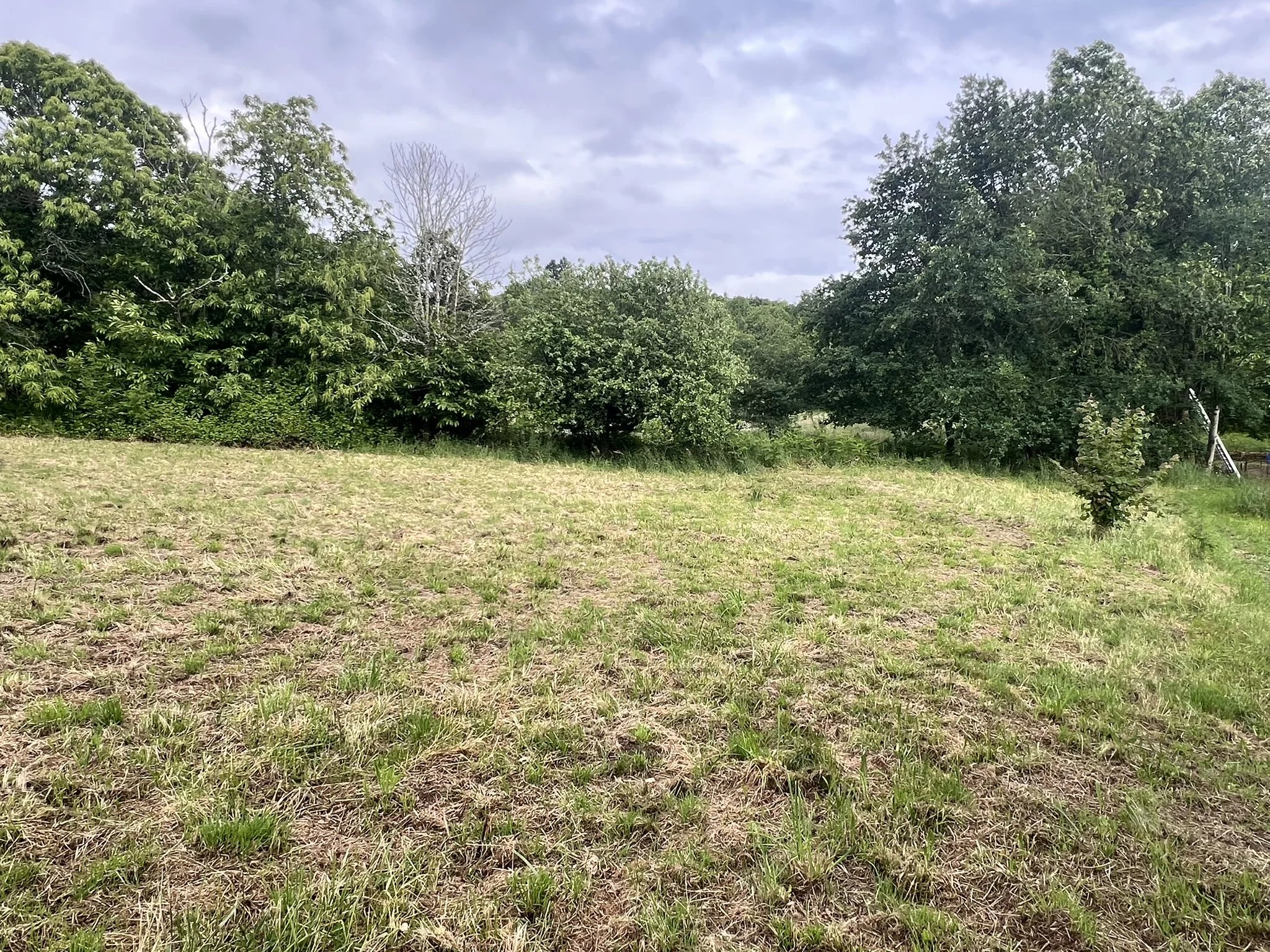 Build Your Dream Home with Stunning Country Views, Aquitaine – France – BVI85075