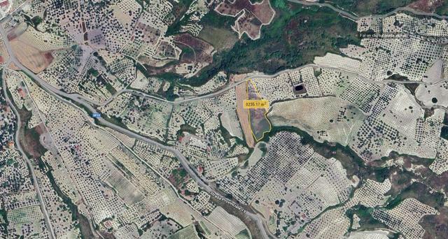 Land in Sicily – Guida Cda La Fratta Alessandria