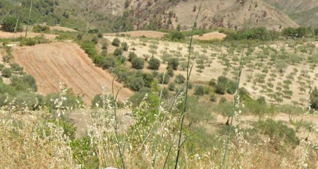 Land in Sicily – Guida Cda La Fratta Alessandria
