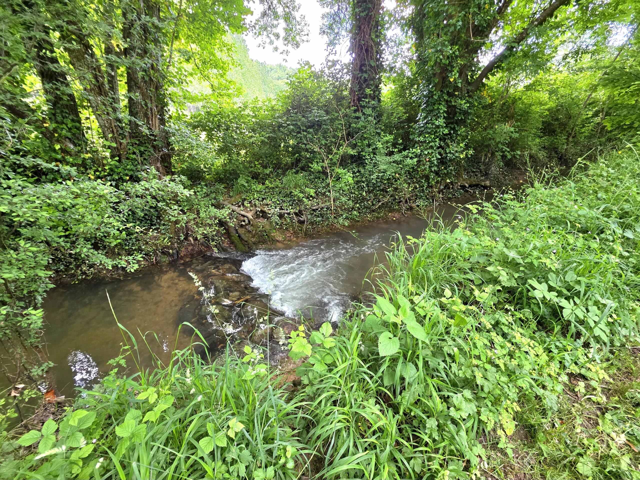 Charming Equestrian Estate Near Bergerac – Idyllic Setting with Stunning Views, Aquitaine – France – BVI81481