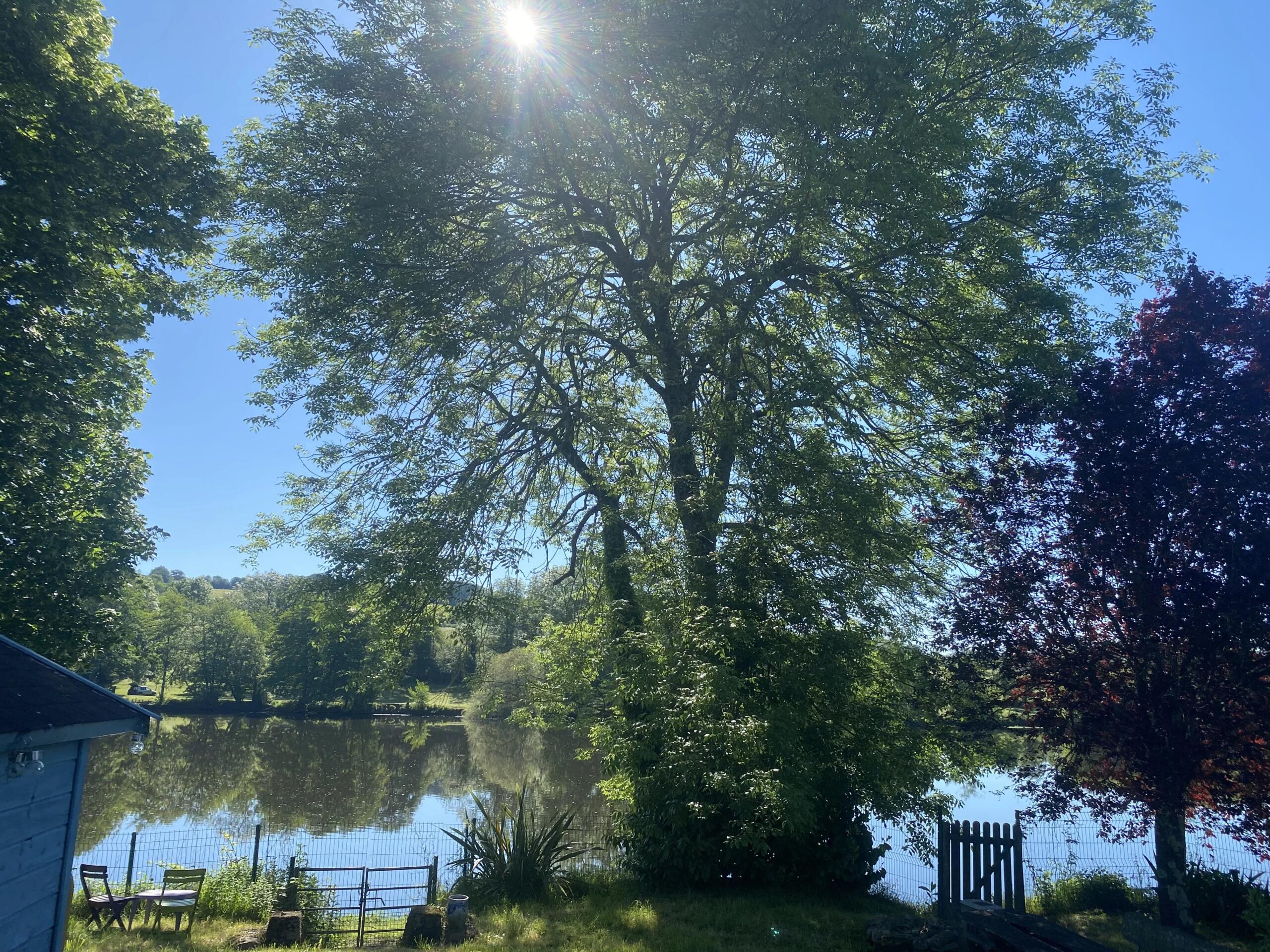 Set right on the river, this delightful chalet is nestled within its own beautifully landscaped garden., Poitou-Charentes – France – BVI85616
