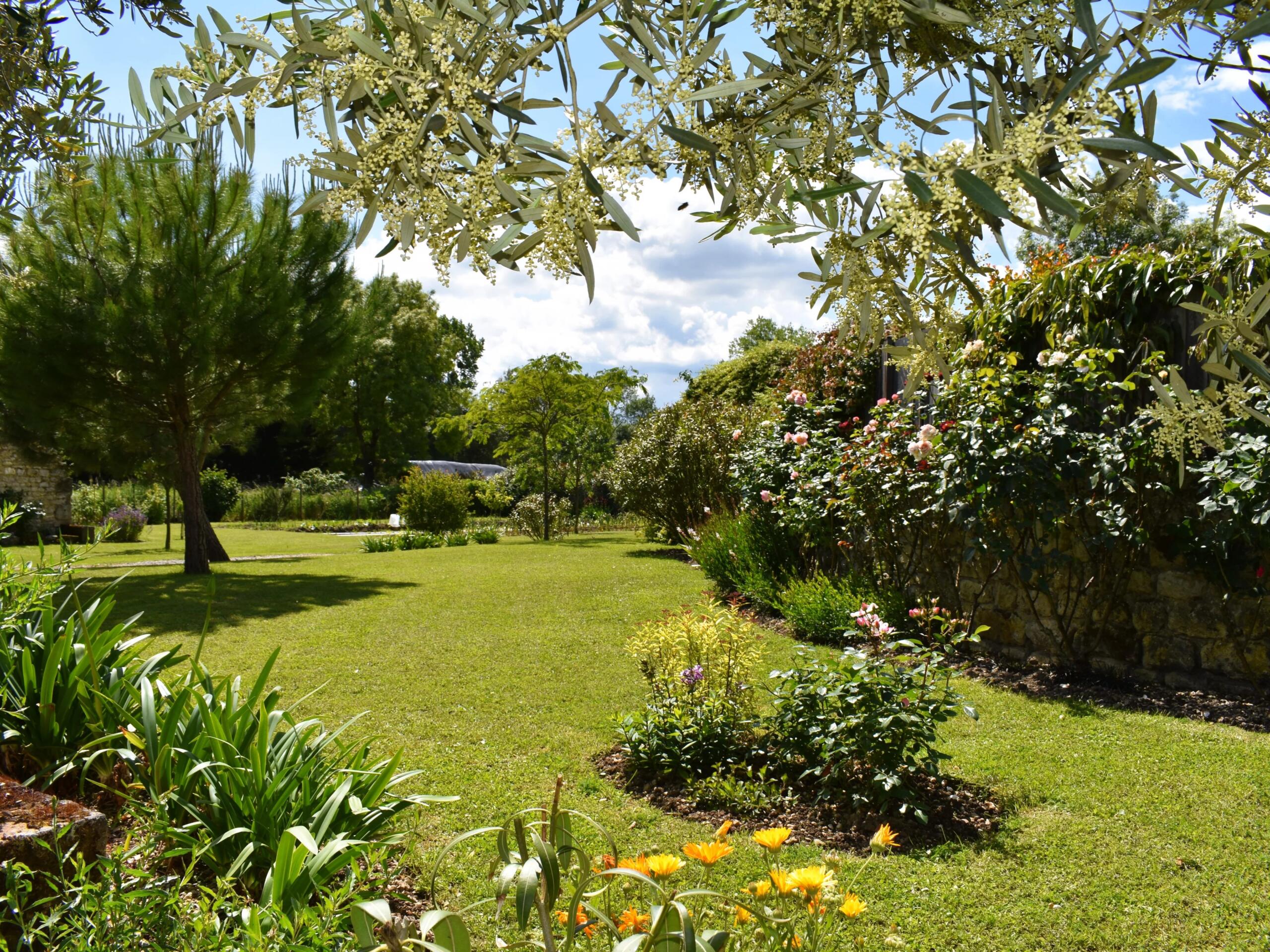 Renovated, spacious, just 30 kilometres from the sea!, Poitou-Charentes – France – BVI85450