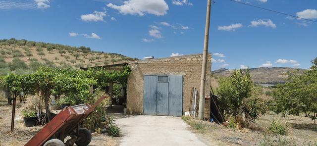 Land in Sicily – Triolo Alessandria