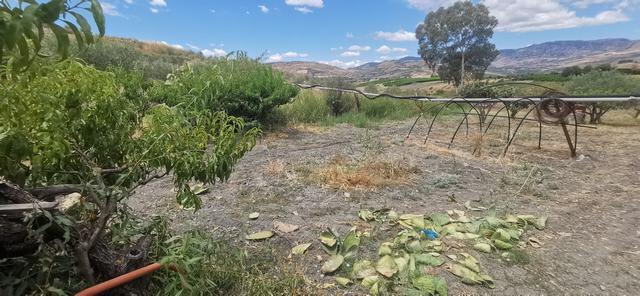 Land in Sicily – Triolo Alessandria
