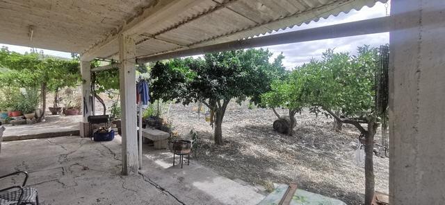 Land in Sicily – Triolo Alessandria