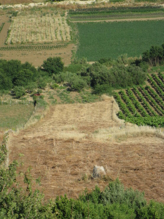 Land in Sicily – Scopello