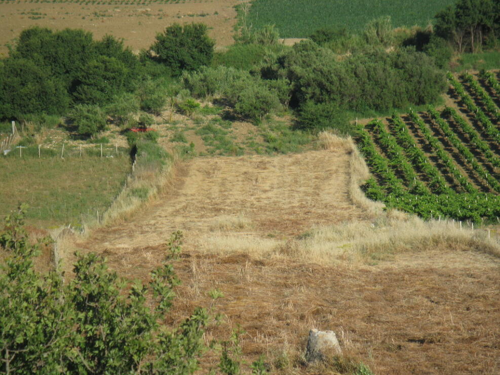 Land in Sicily – Scopello