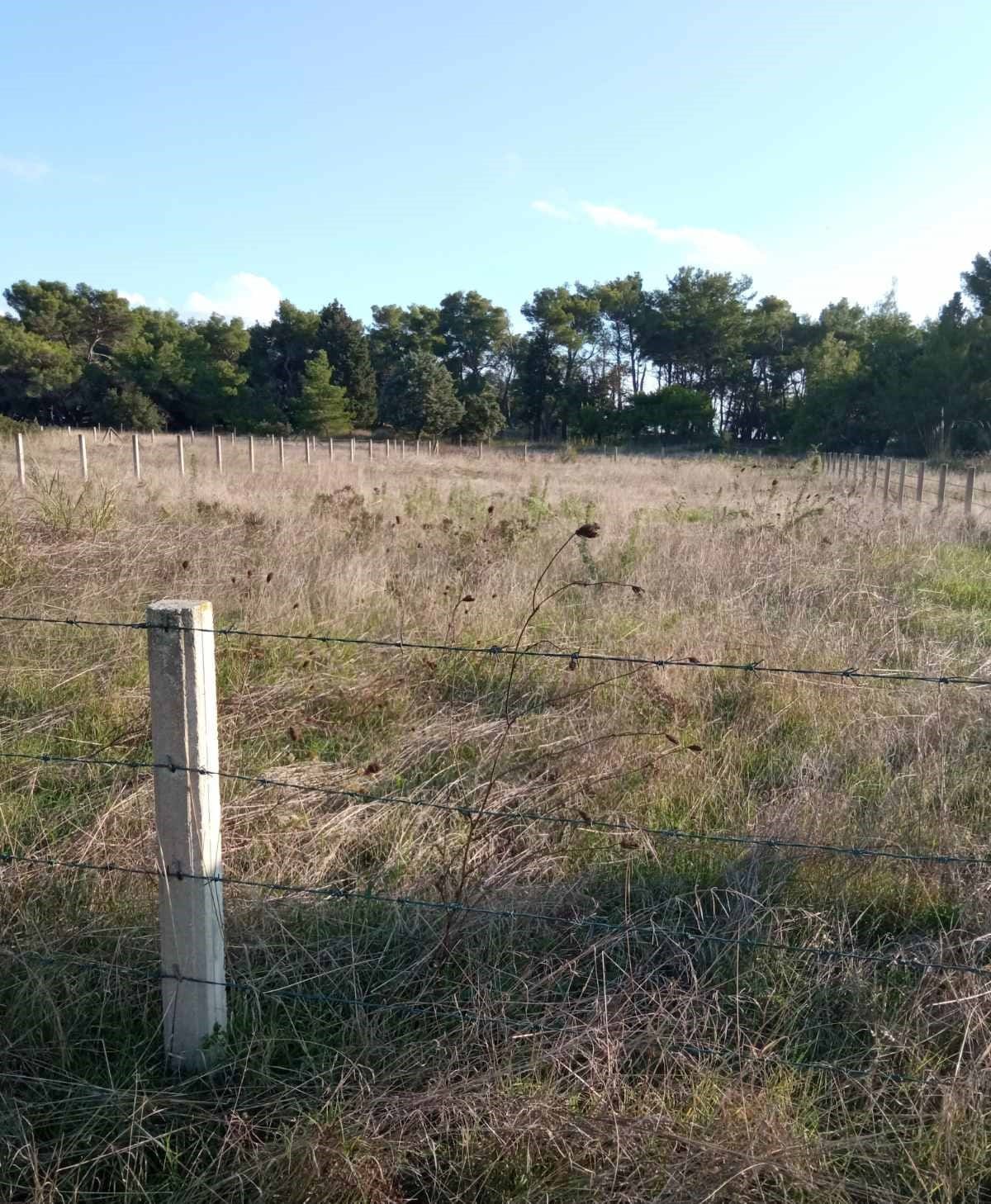 Land Plot in Ulcinj, Ulcinj Municipality, Montenegro – MREV1