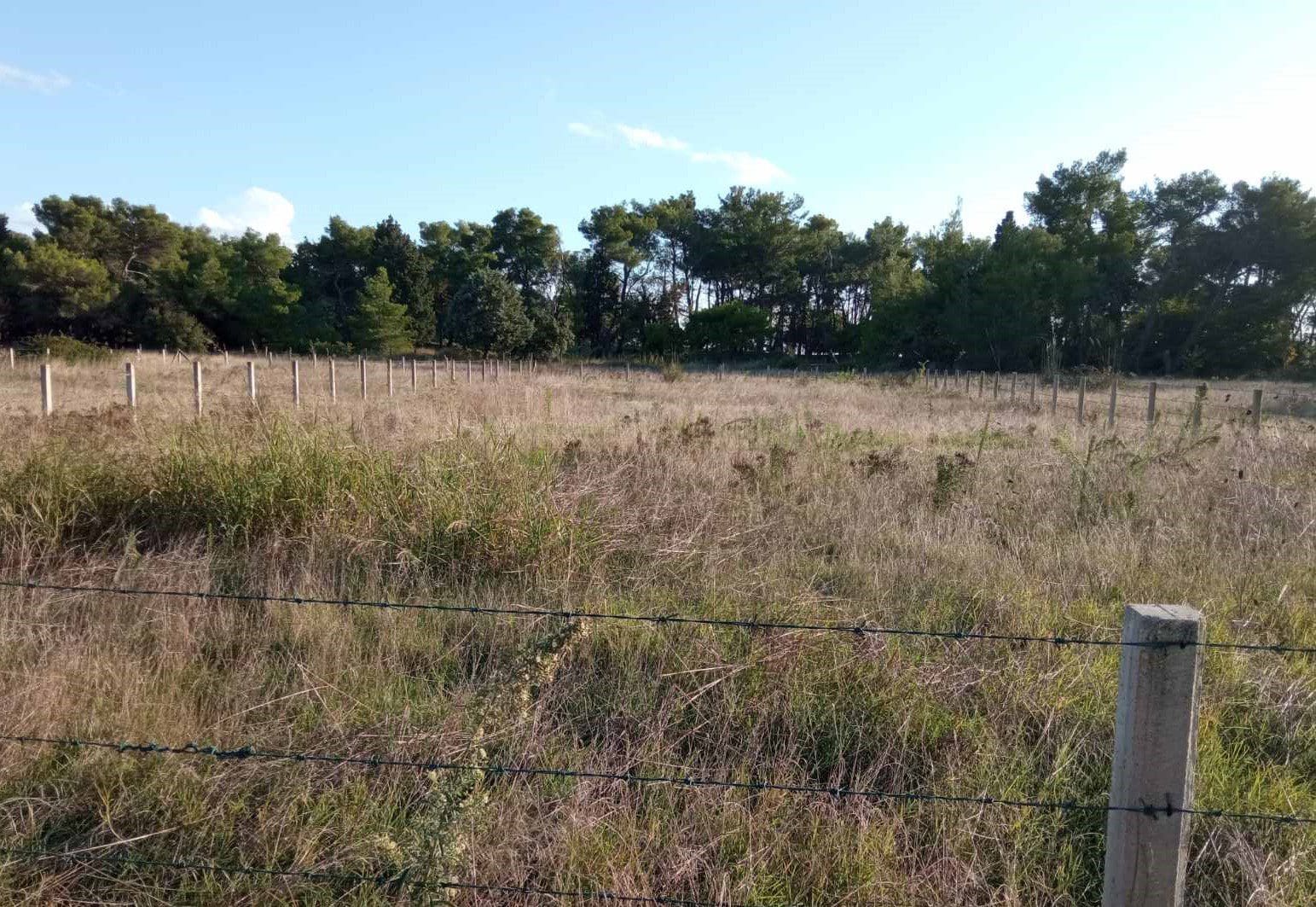 Land Plot in Ulcinj, Ulcinj Municipality, Montenegro – MREV1