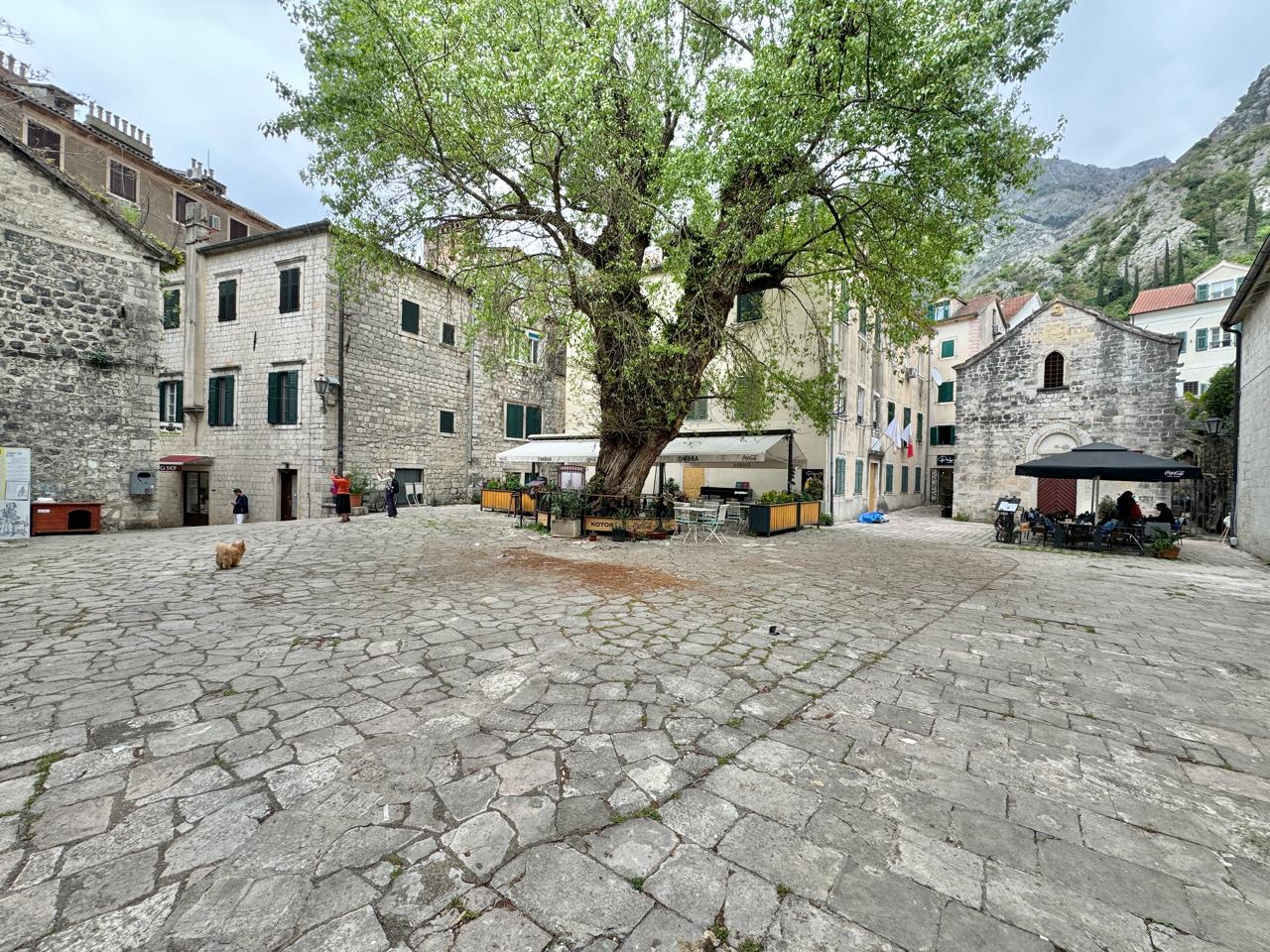 2 bedroom Apartments in Kotor, Kotor Municipality, Montenegro – MRETT-2