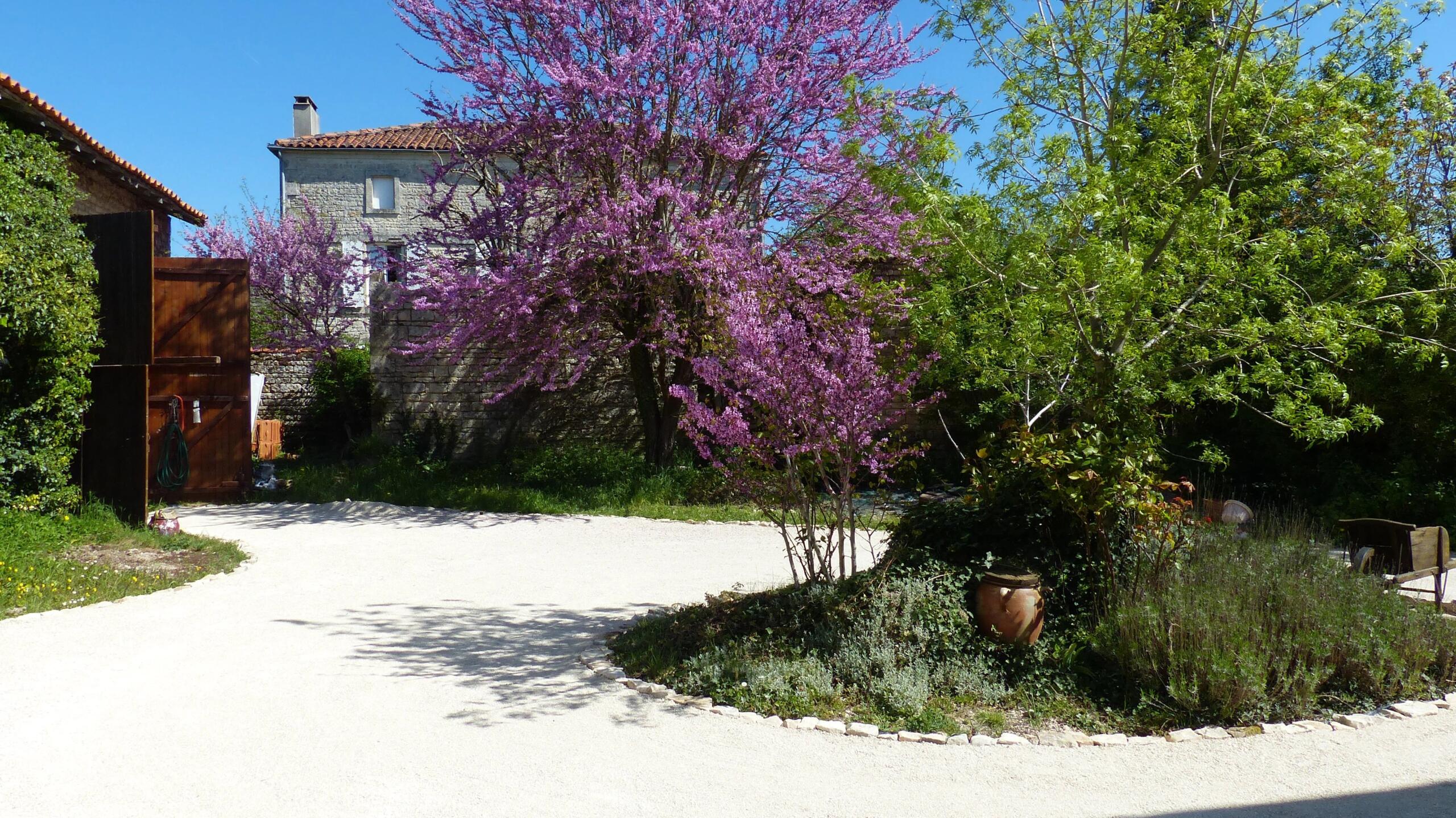 Spacious village house with large garden and parking, Poitou-Charentes – France – BVI85715