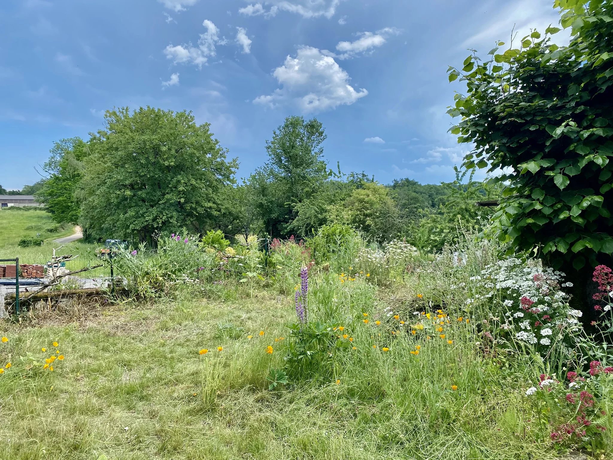 Cute hamlet house, ideal for second home or rental, Limousin – France – BVI85728