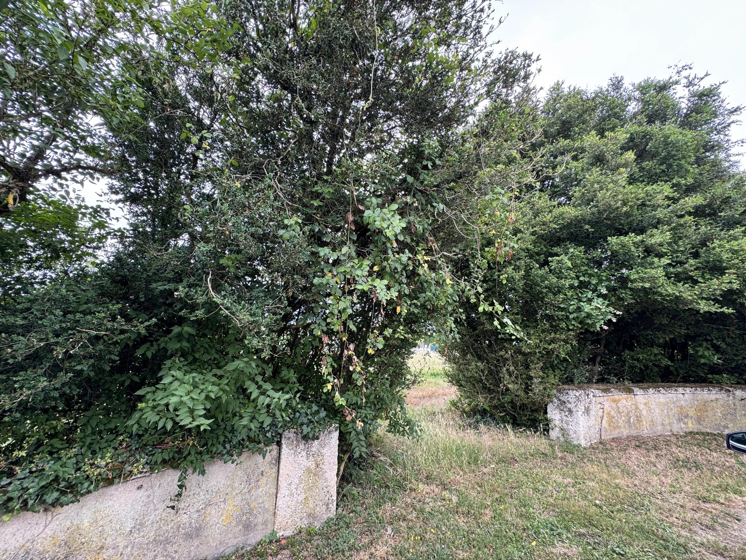 Large plot of land in the centre of the village, Poitou-Charentes – France – BVI85908