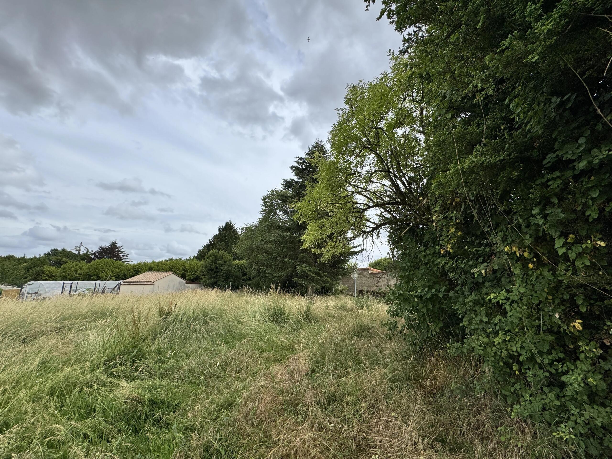 Large plot of land in the centre of the village, Poitou-Charentes – France – BVI85908