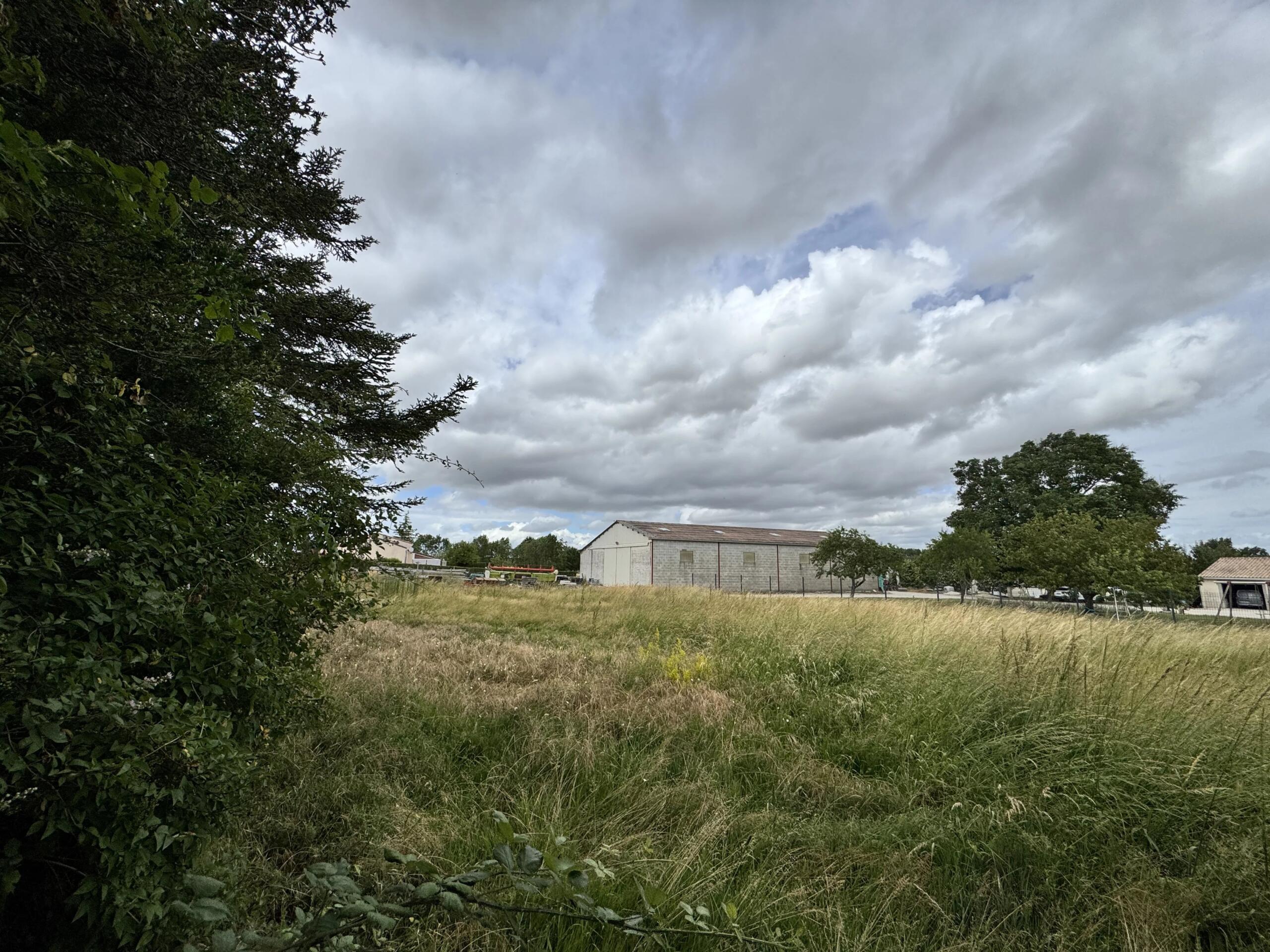 Large plot of land in the centre of the village, Poitou-Charentes – France – BVI85908