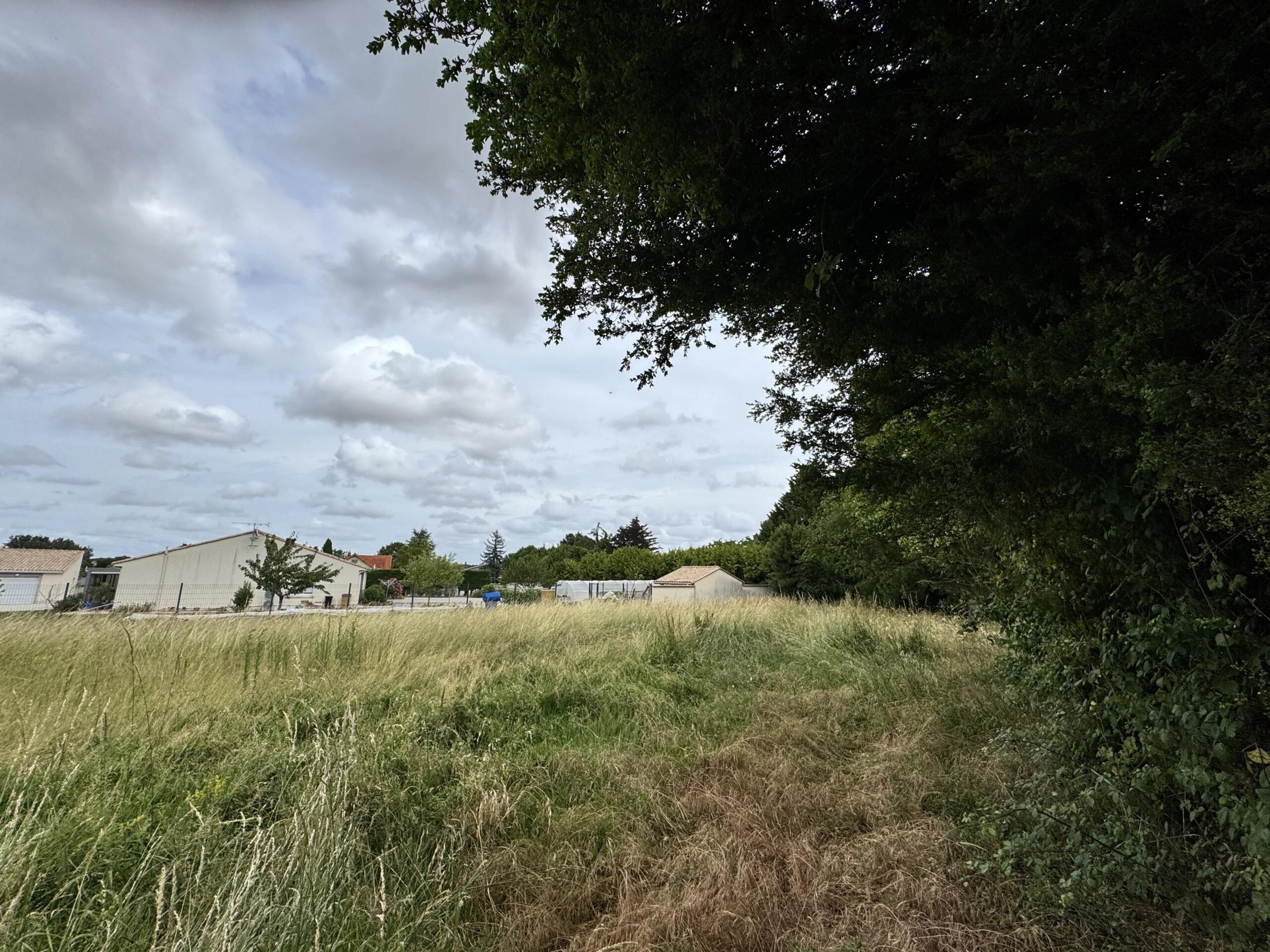 Large plot of land in the centre of the village, Poitou-Charentes – France – BVI85908