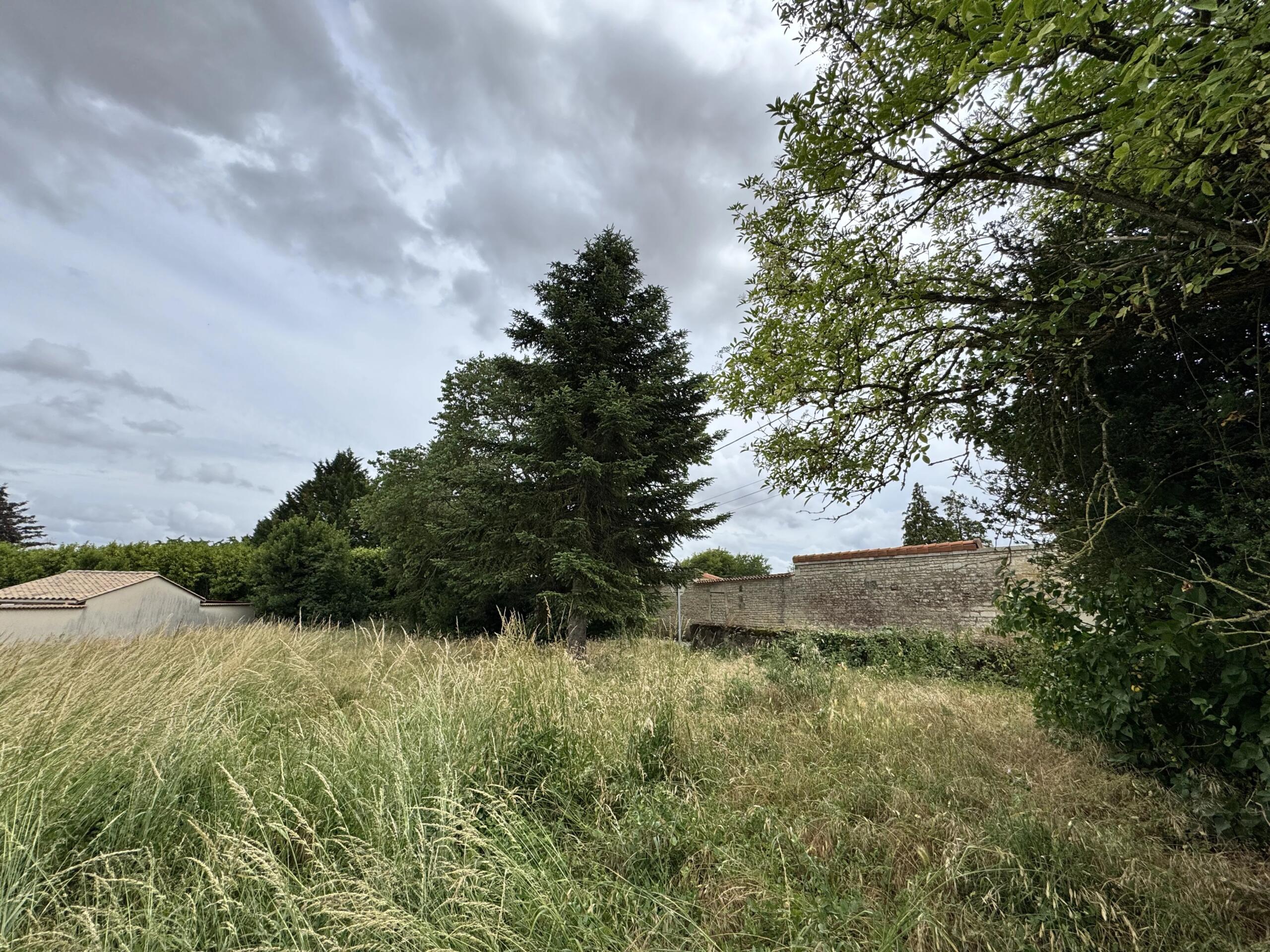 Large plot of land in the centre of the village, Poitou-Charentes – France – BVI85908