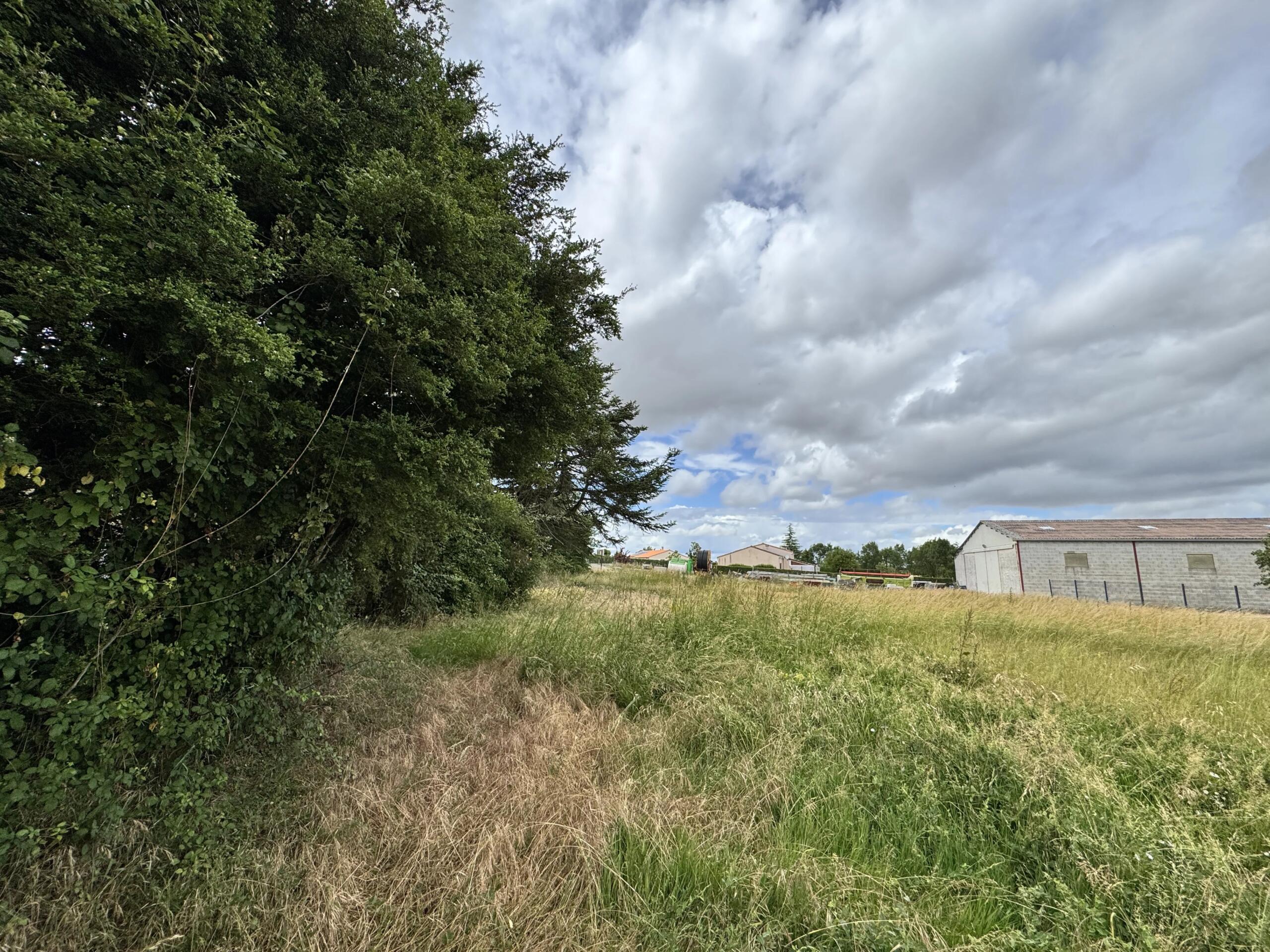 Large plot of land in the centre of the village, Poitou-Charentes – France – BVI85908