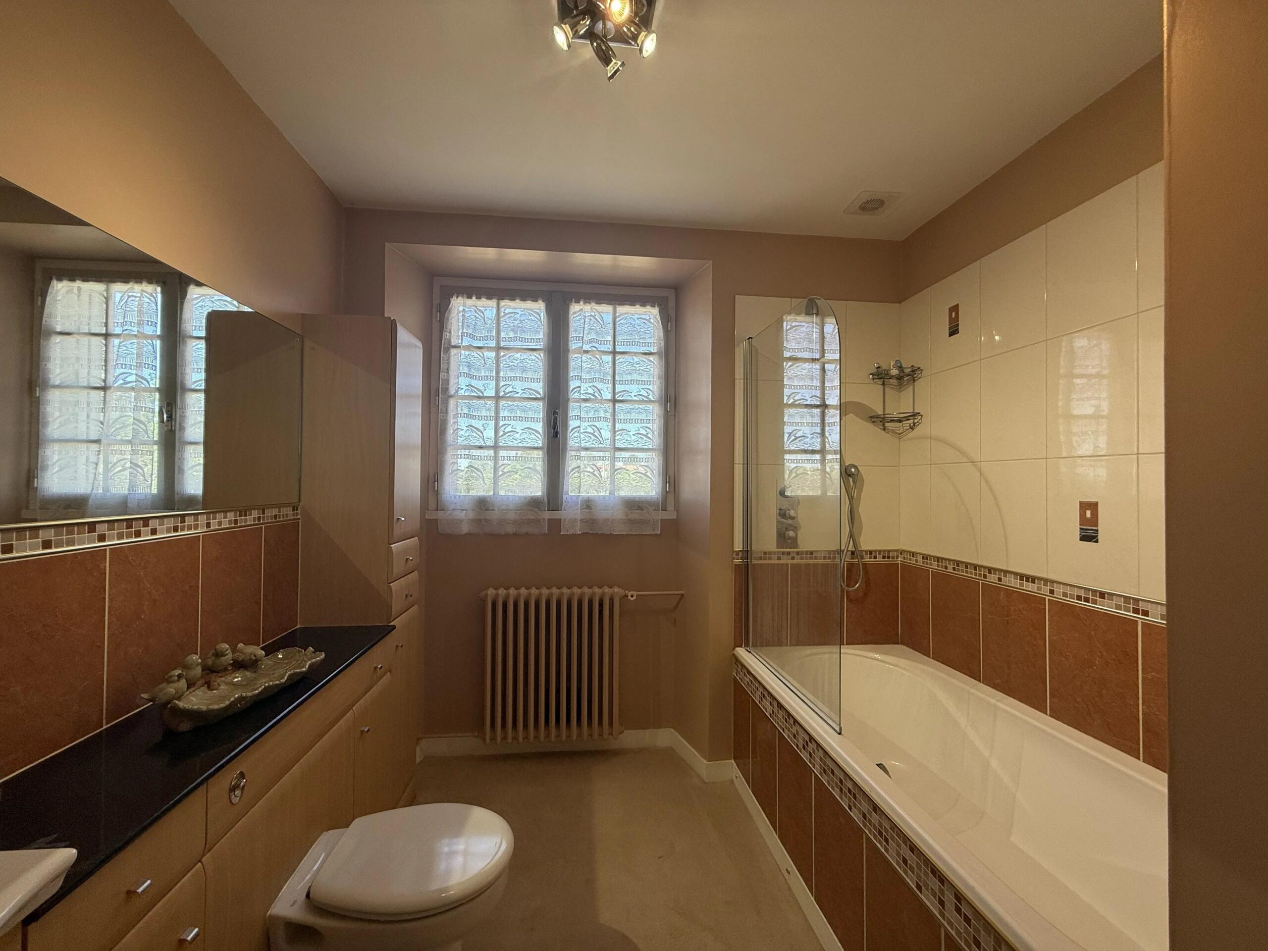 Peaceful farmhouse set in over 4 hectares of grasslands with equestrian possibilities, Poitou-Charentes – France – BVI80774