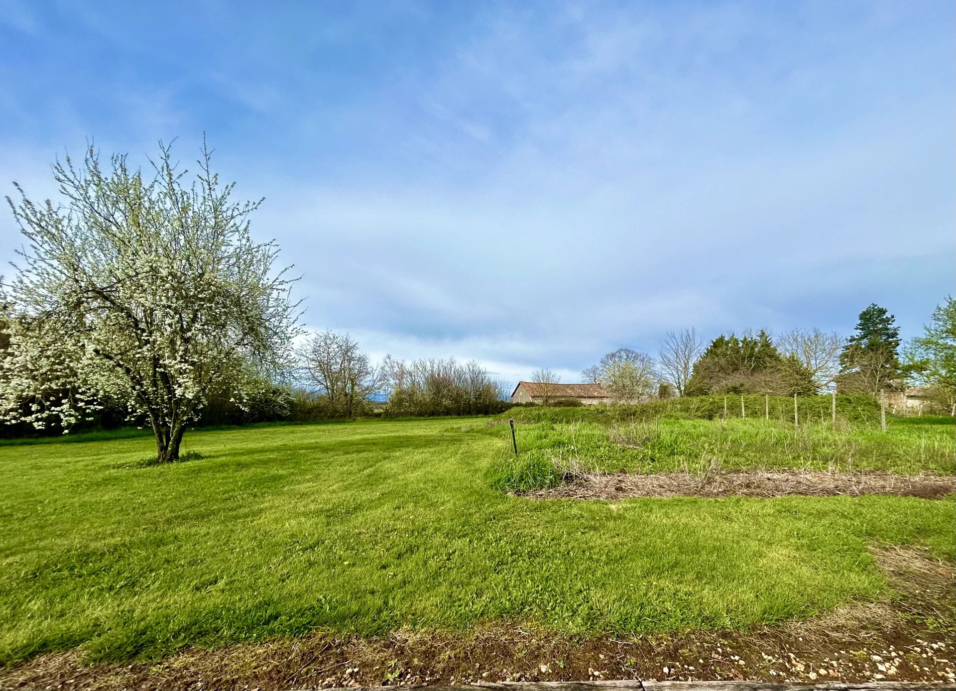 Traditional stone village house with large guest house and 3099 m2 of land, Poitou-Charentes – France – BVI80187