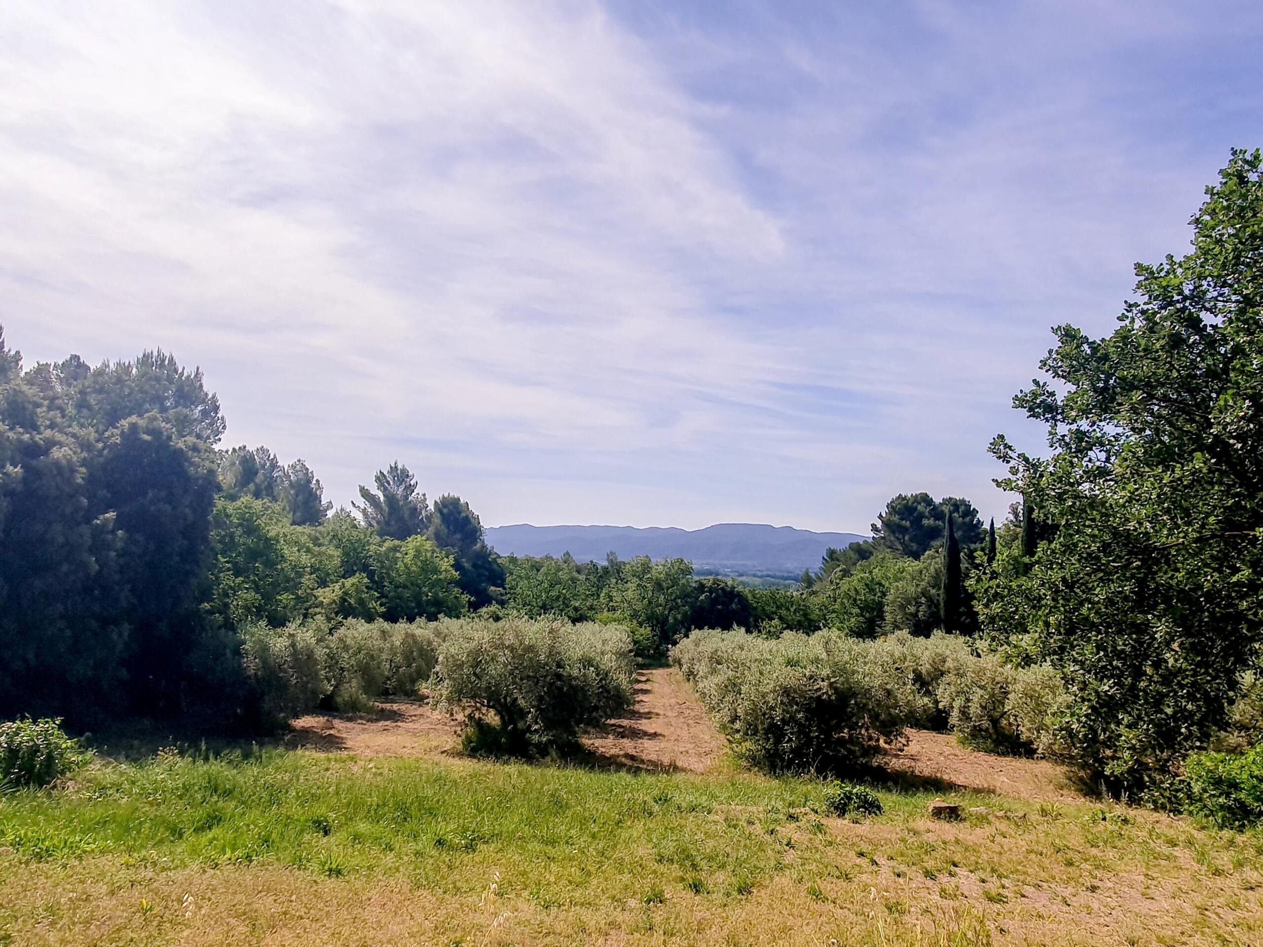 House with Pool and Olive Grove Views in Mérindol, Near Lourmarin, Provence-Alpes-Côte d’Azur – France – BVI85838