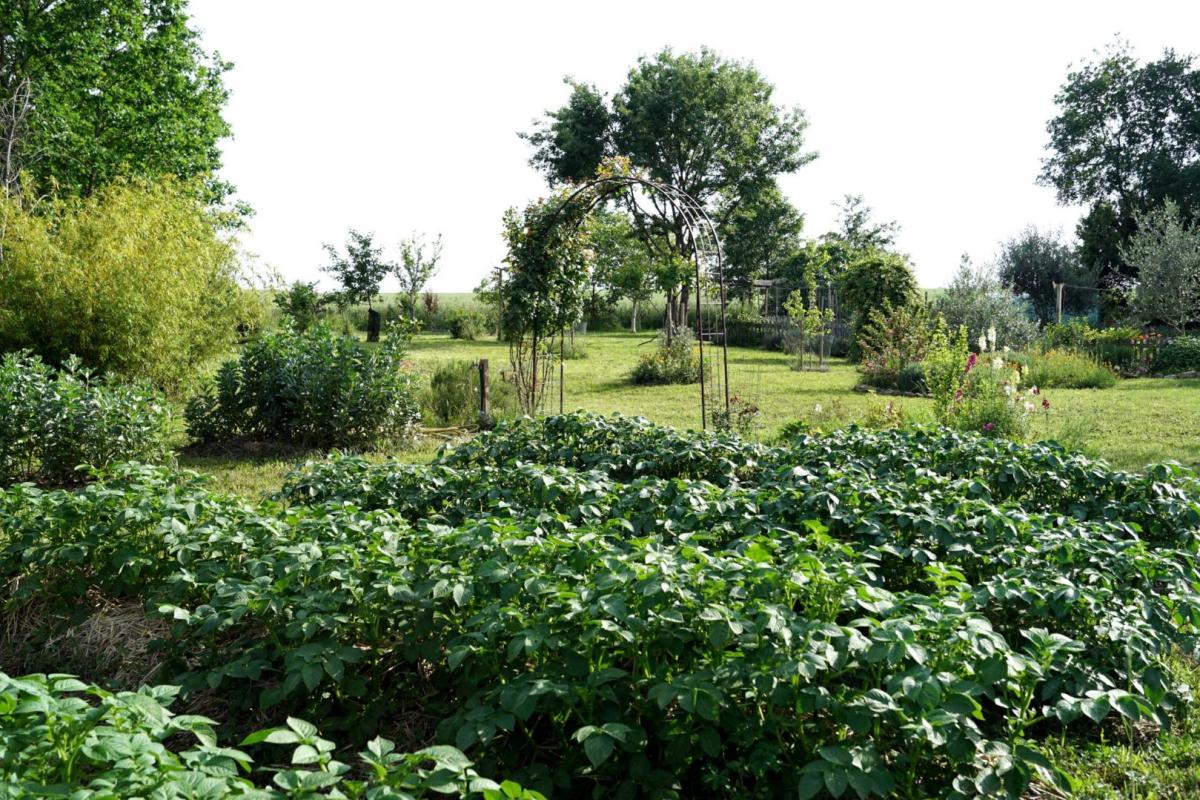 2 bedroom maison situee en campagne in Fleurance, Gers, France